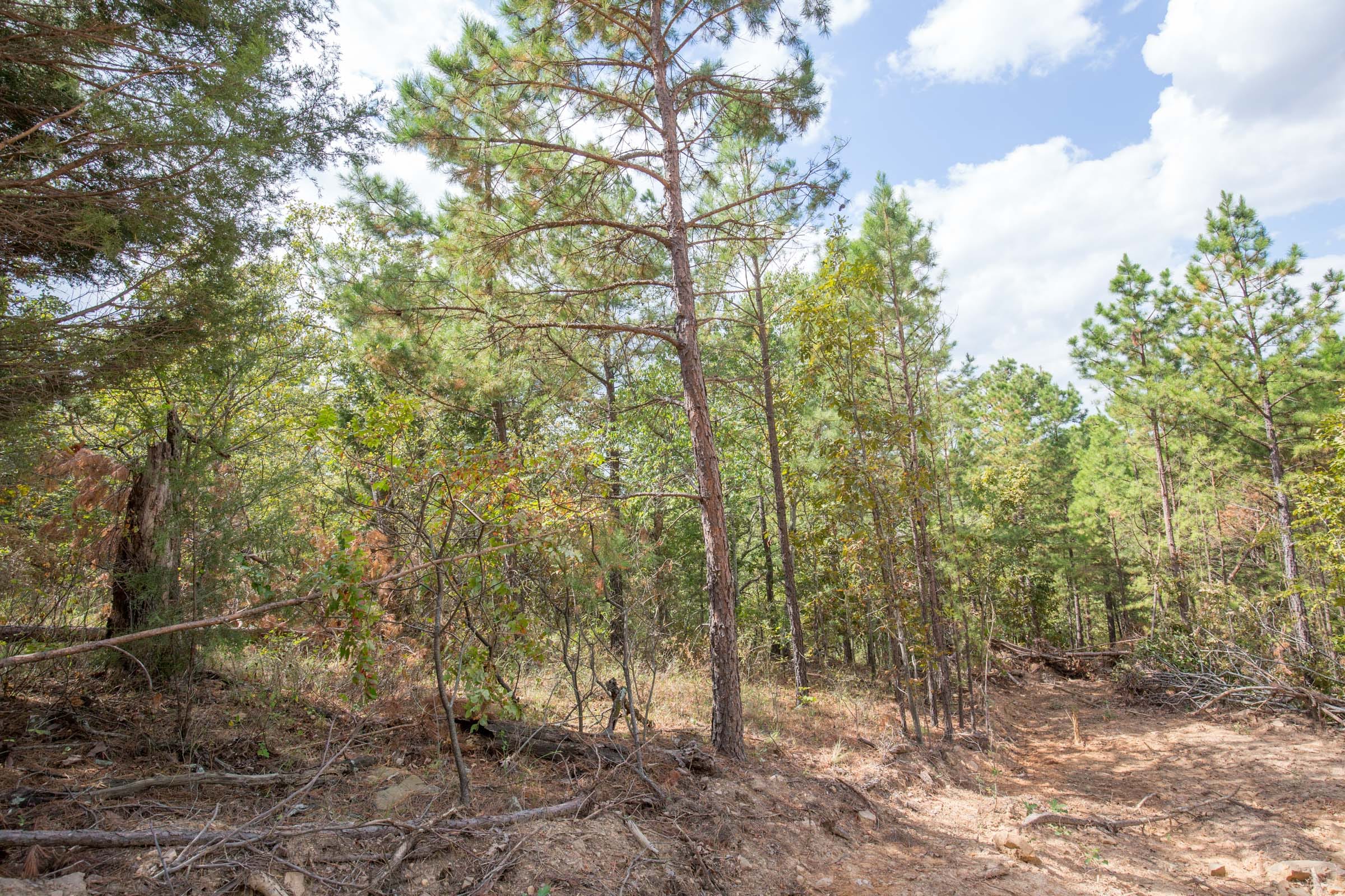 Stone Bridge Phase I Tract 47 photo 11