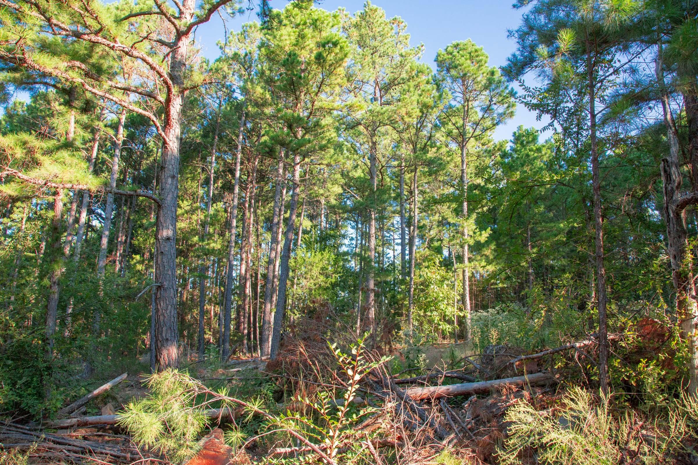 Stone Creek Phase II Tract 277 photo 3
