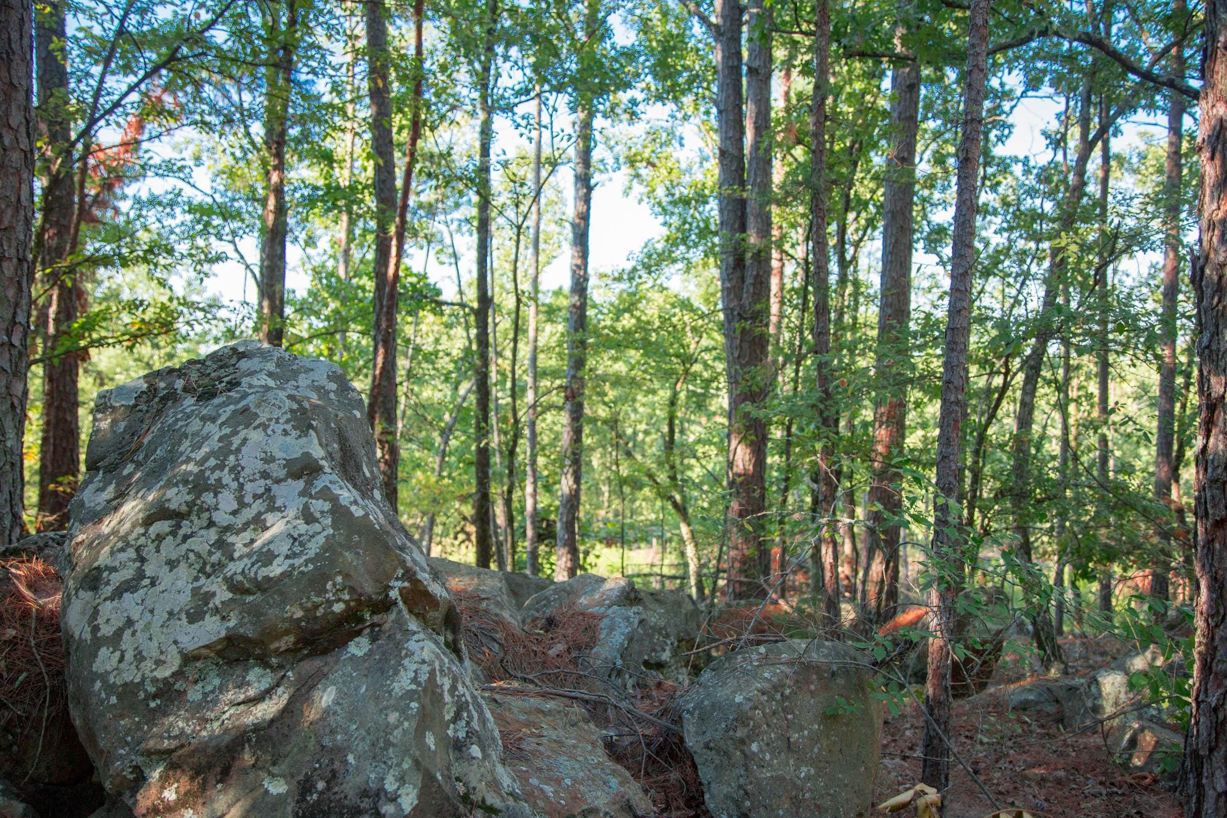 Stone Creek Phase II Tract 277 photo 4