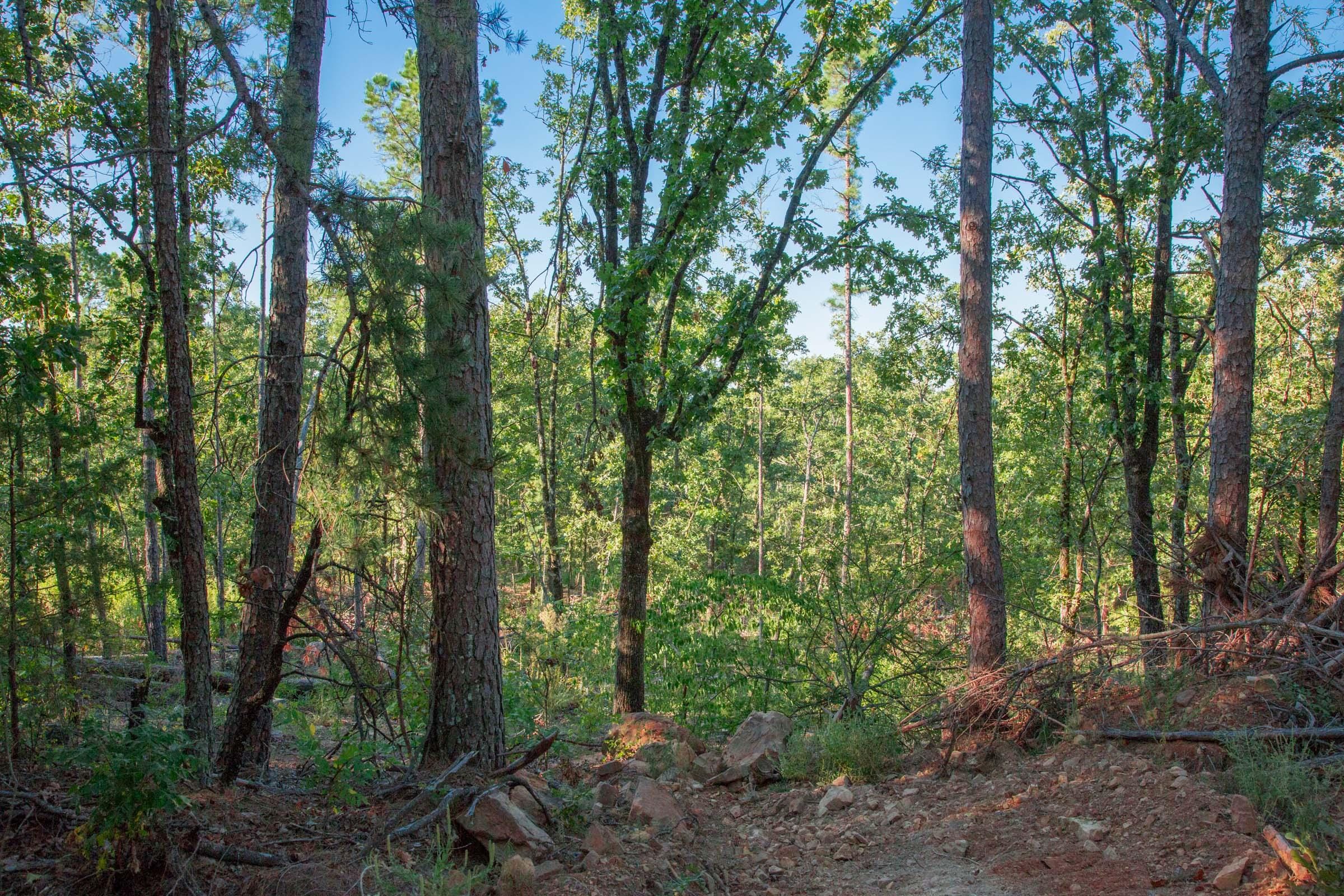Stone Creek Phase II Tract 277 photo 5