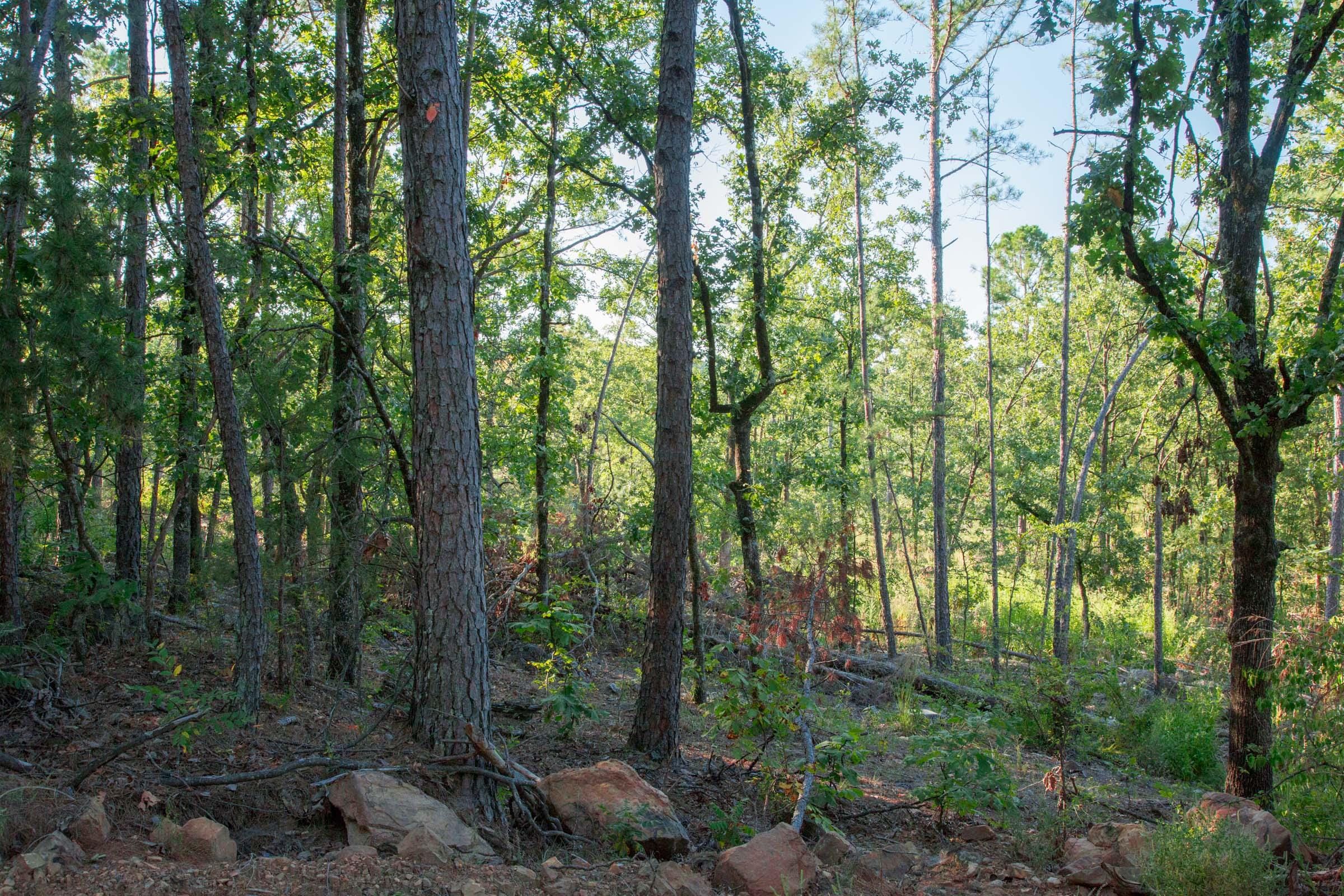 Stone Creek Phase II Tract 277 photo 6