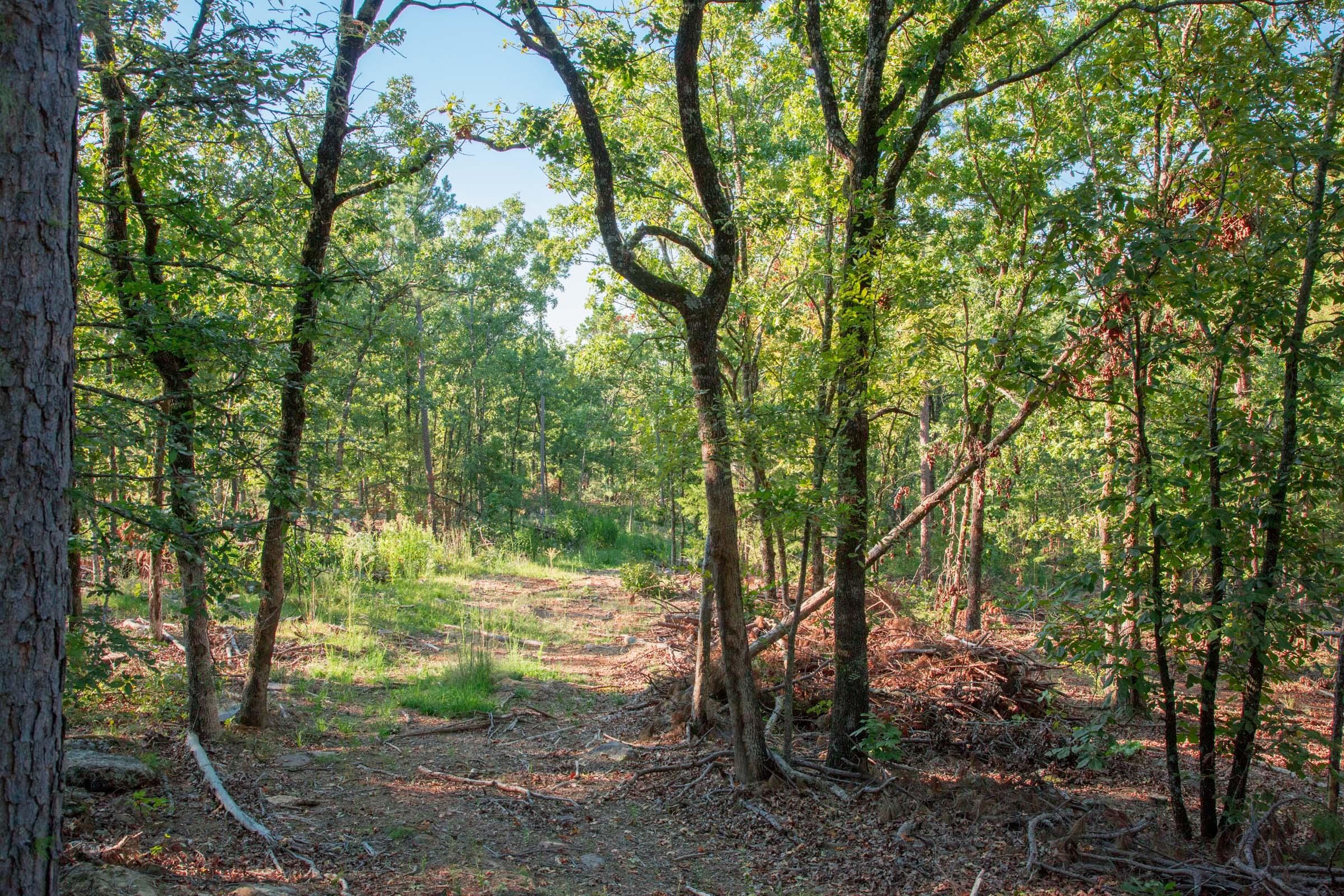 Stone Creek Phase II Tract 277 photo 8