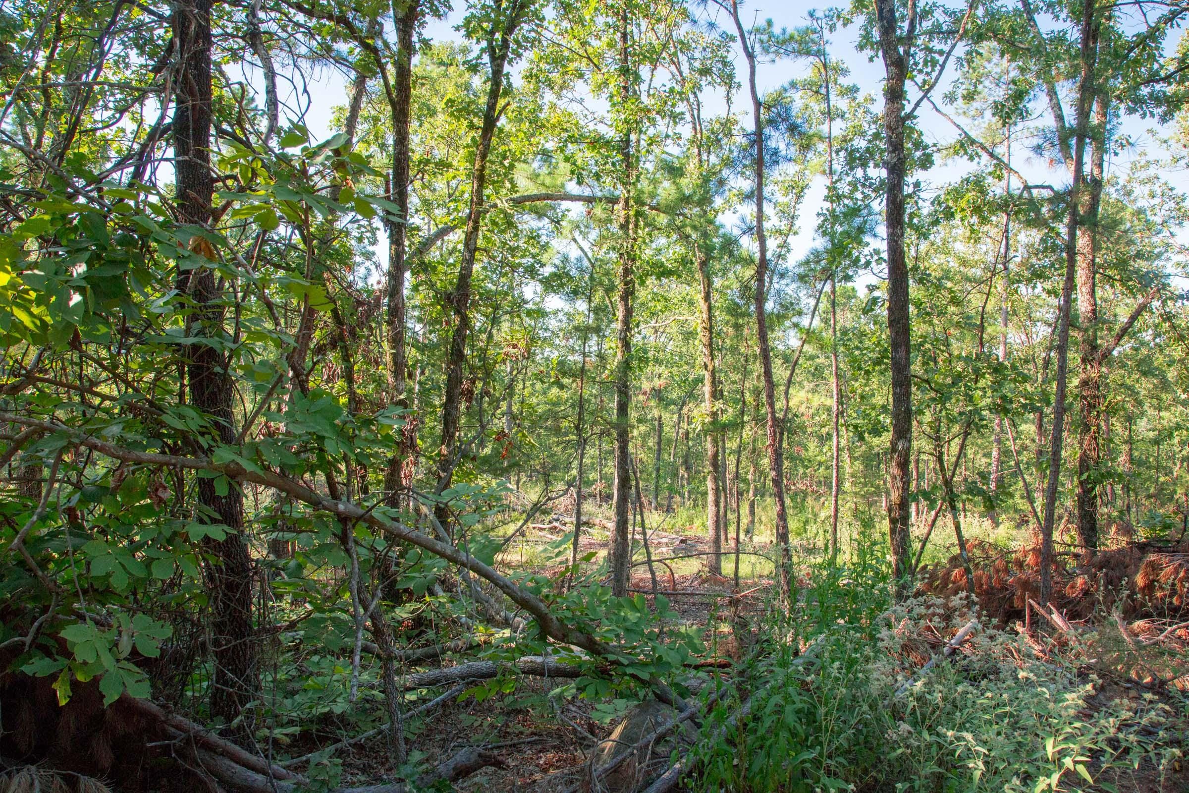 Stone Creek Phase II Tract 277 photo 11