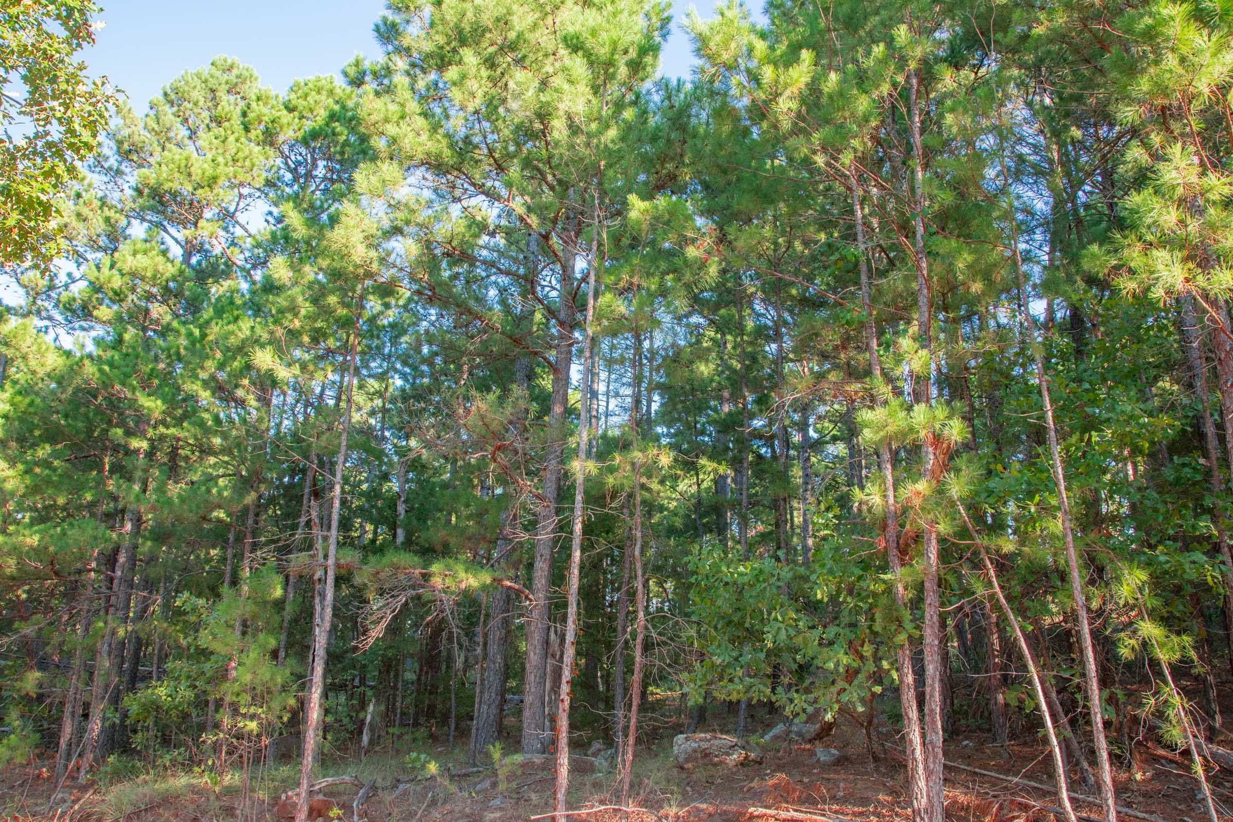 Stone Creek Phase II Tract 277 photo 12