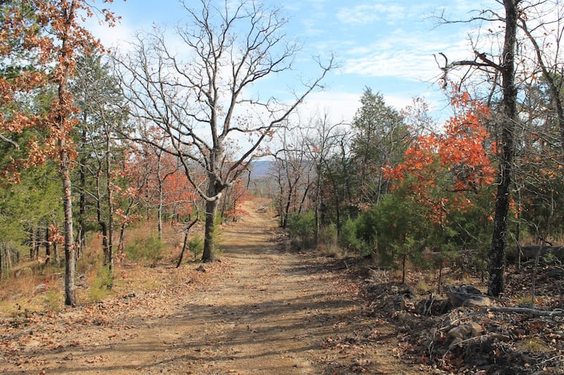 Indian Ridge – Phase I Tract 11 photo 1