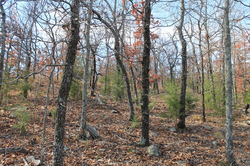 Indian Ridge – Phase I Tract 11 photo 2