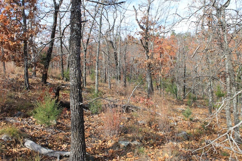 Indian Ridge – Phase I Tract 11 photo 4