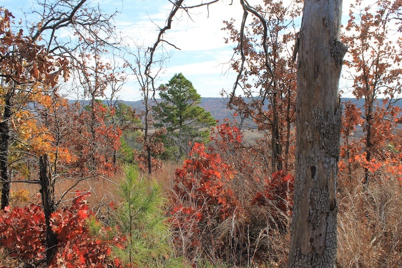 Indian Ridge – Phase I Tract 11 photo 5