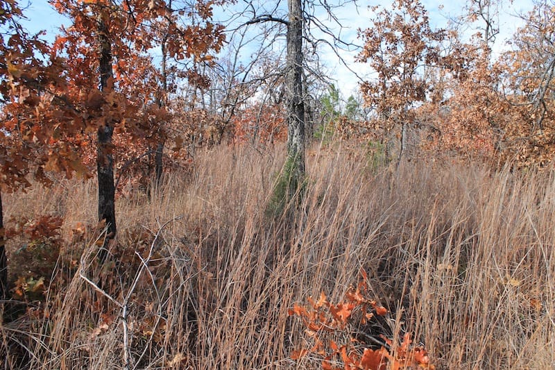 Indian Ridge – Phase I Tract 11 photo 6