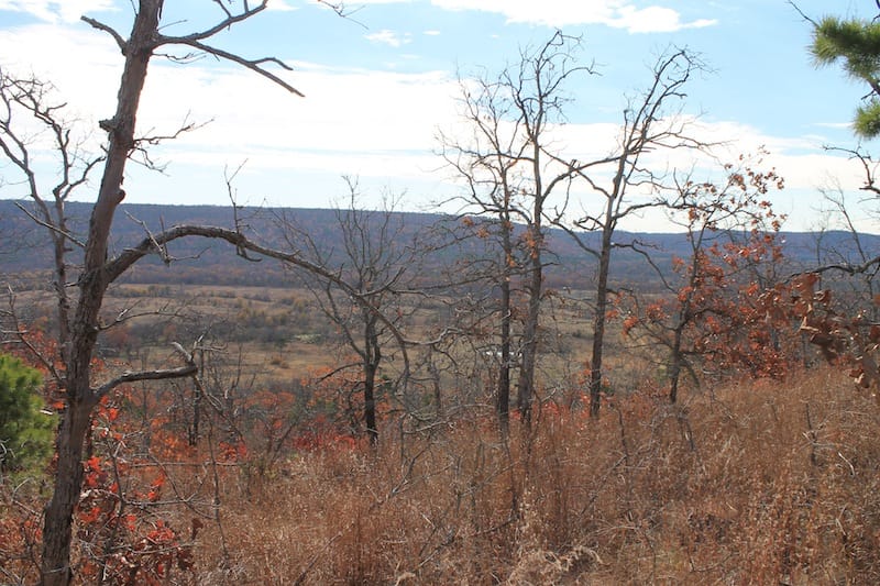 Indian Ridge – Phase I Tract 11 photo 9