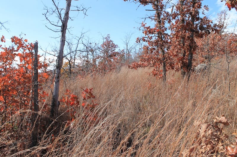 Indian Ridge – Phase I Tract 11 photo 10