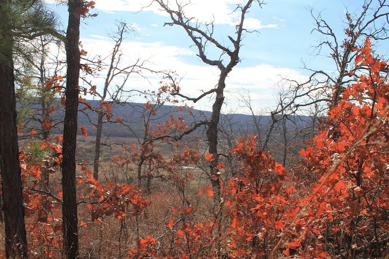 Indian Ridge – Phase I Tract 11 photo 11
