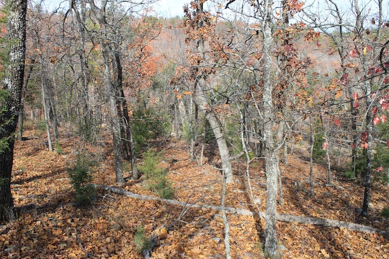 Indian Ridge – Phase I Tract 11 photo 12