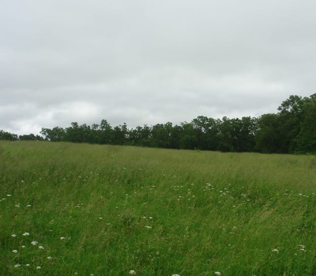 Whispering Oaks Tract 13 photo 2