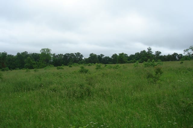 Whispering Oaks Tract 13 photo 4