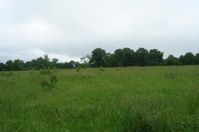 Whispering Oaks Tract 13 photo 5