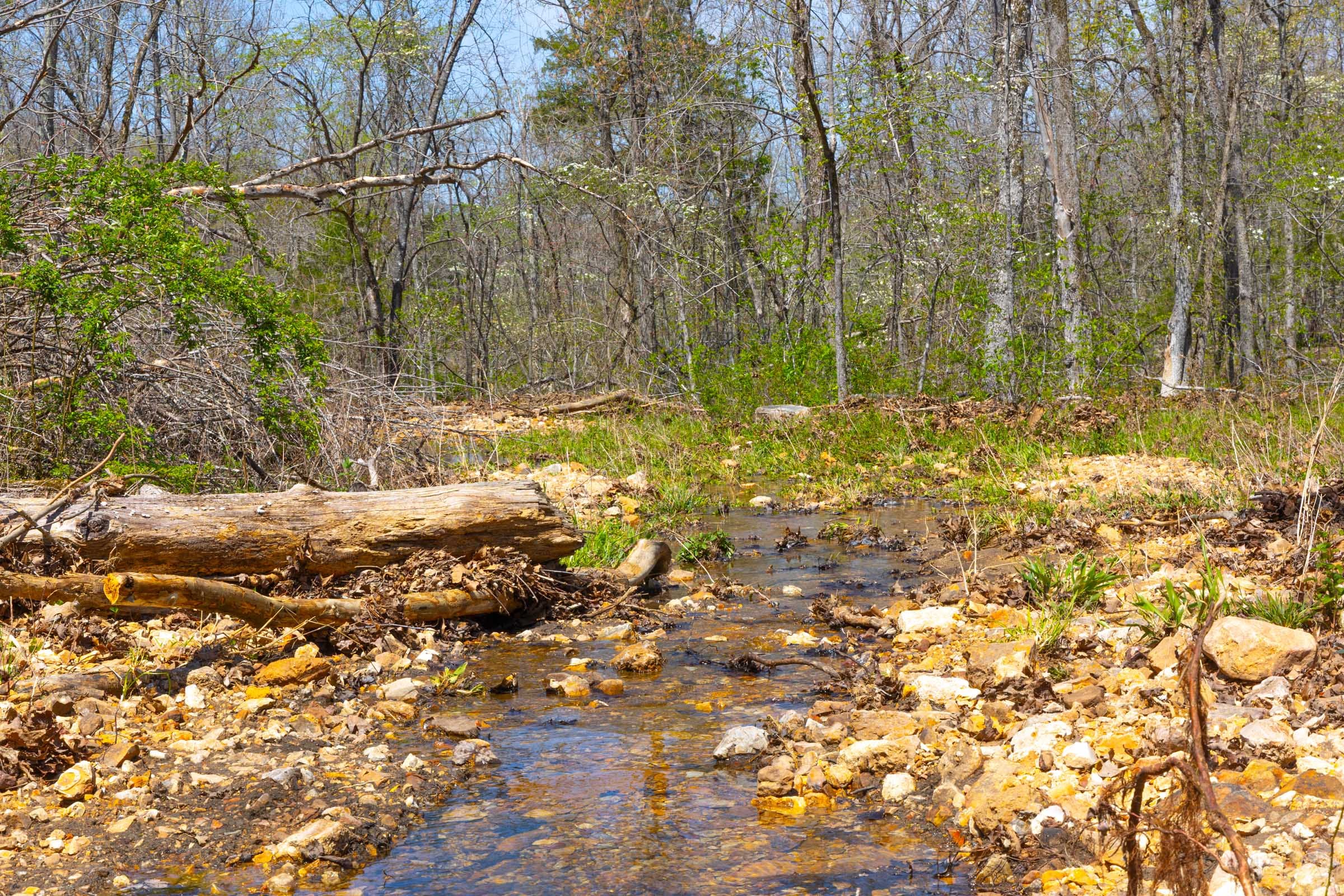 Lazybrook photo 4