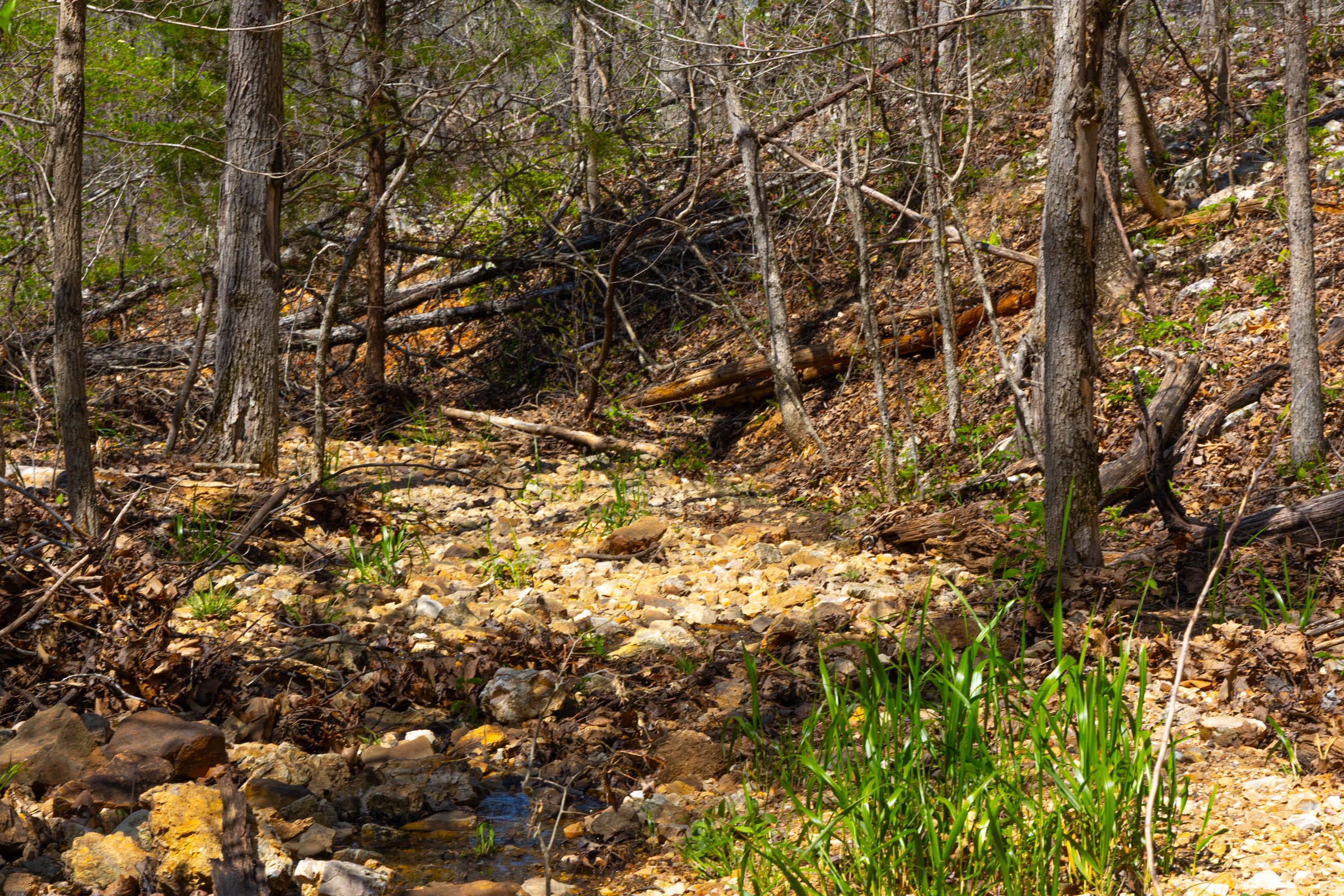 Lazybrook photo 10