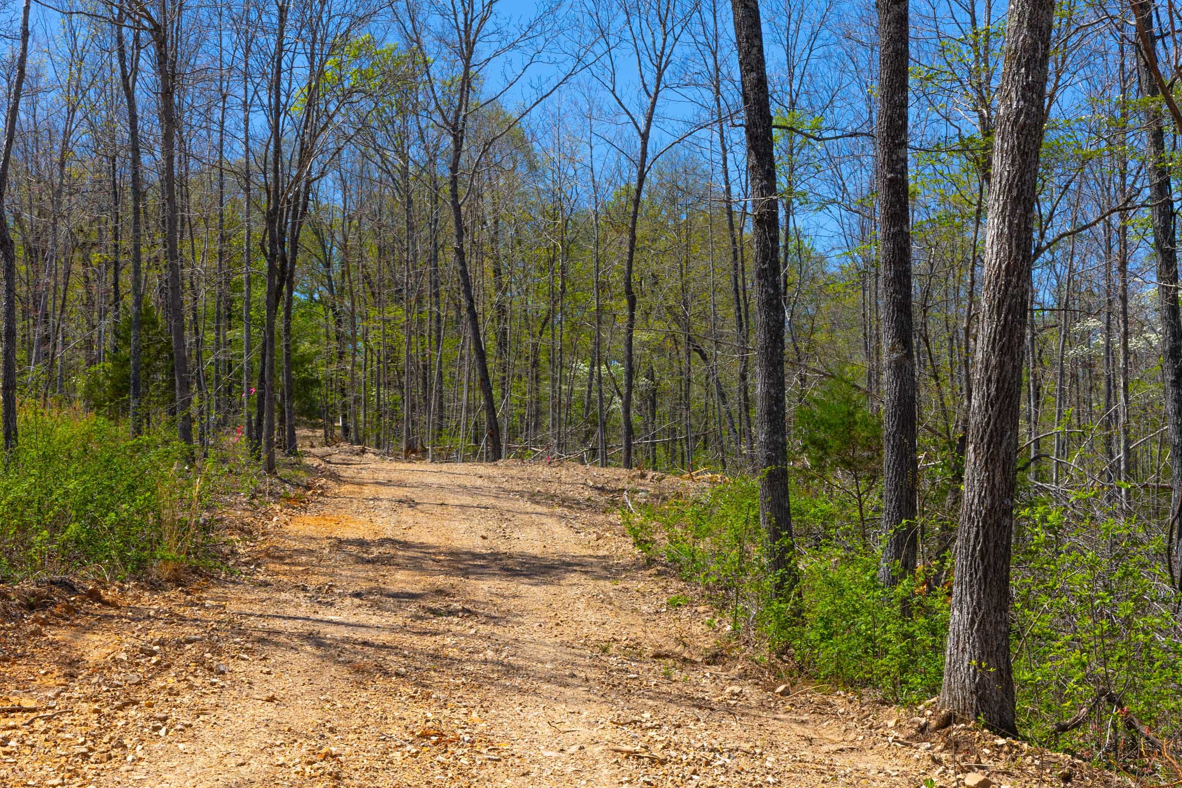Lazybrook Tract 7 photo 3