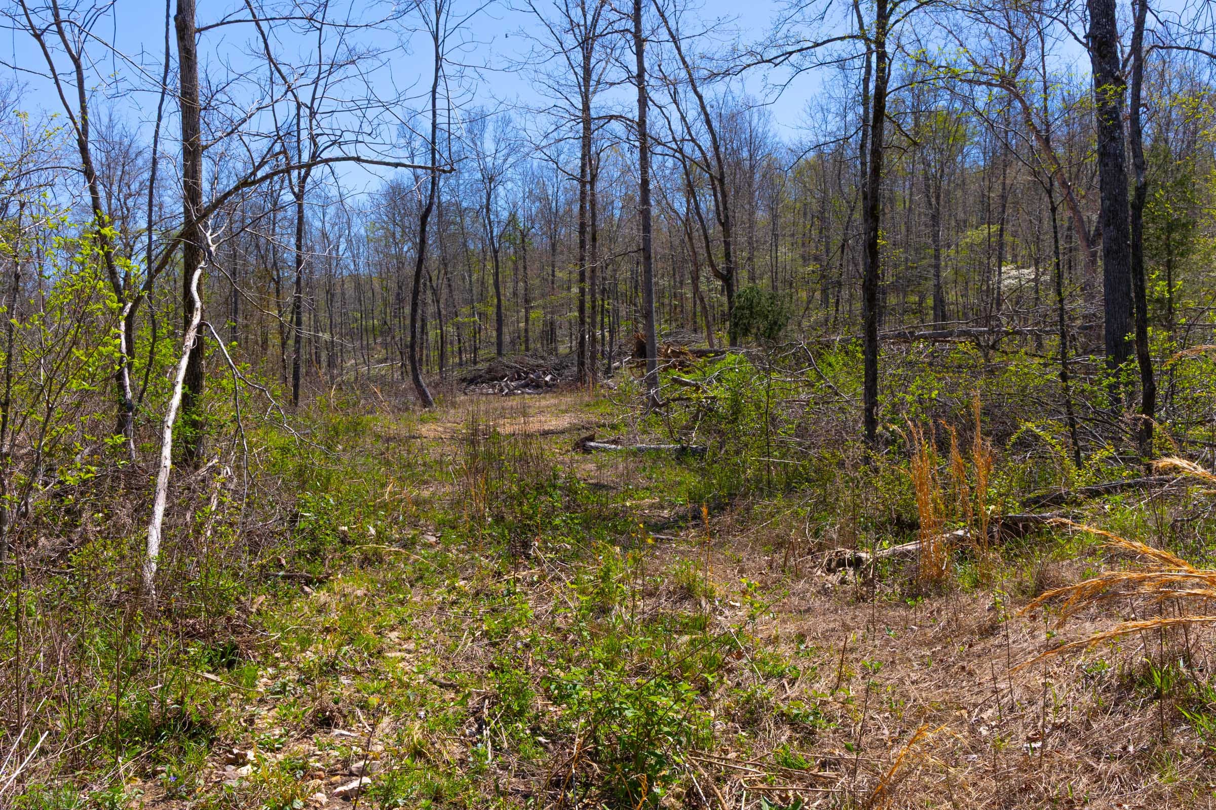 Lazybrook Tract 7 photo 8