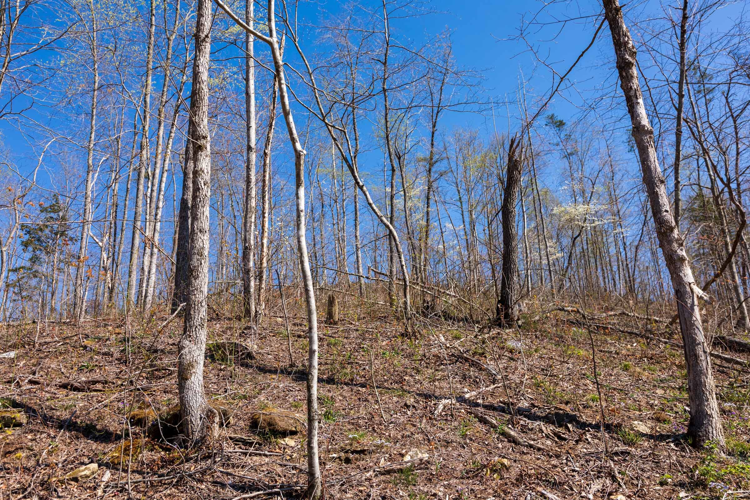 Creek Hollow Phase I Tract 53 photo 2