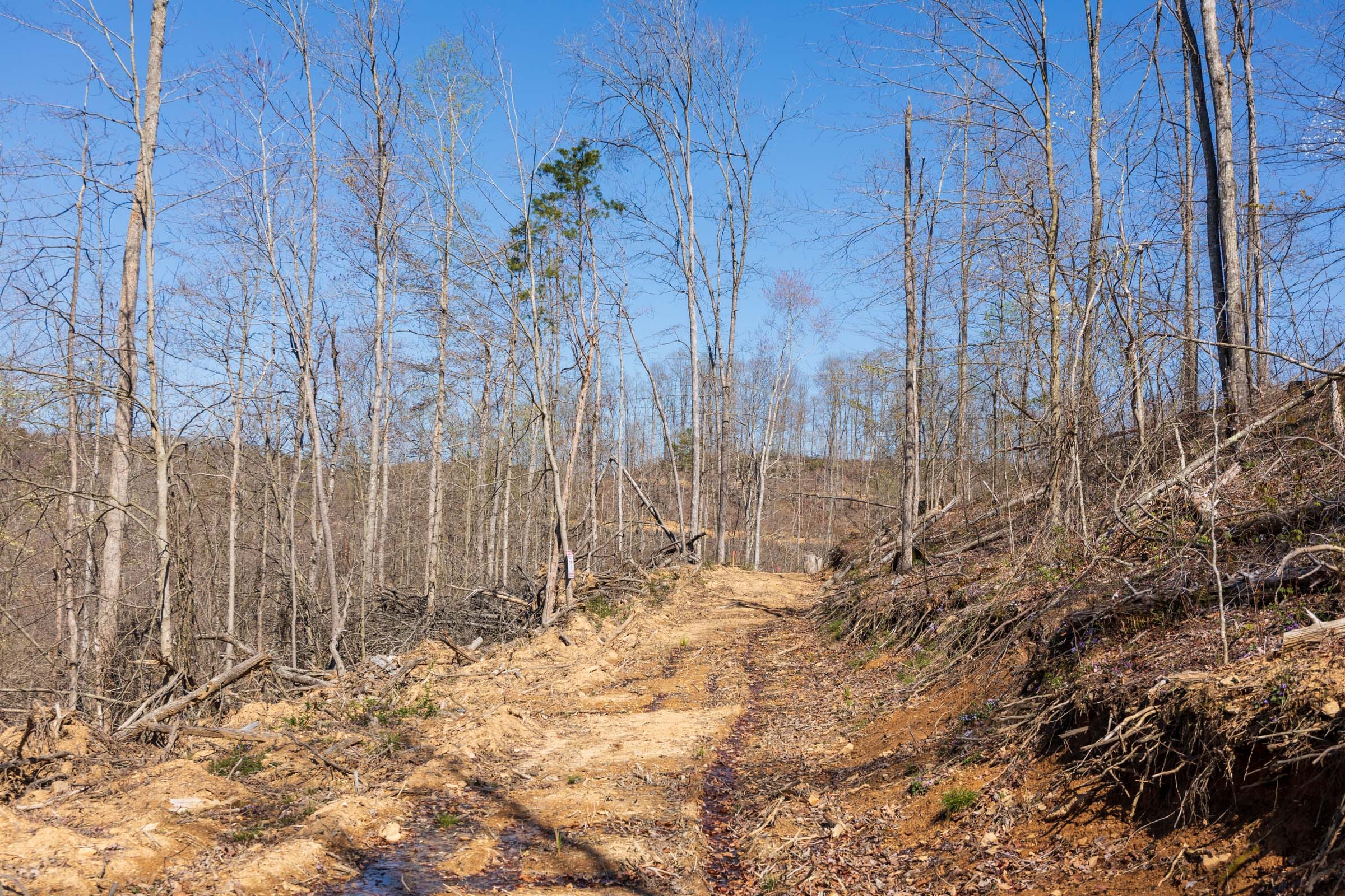 Creek Hollow Phase I Tract 53 photo 1