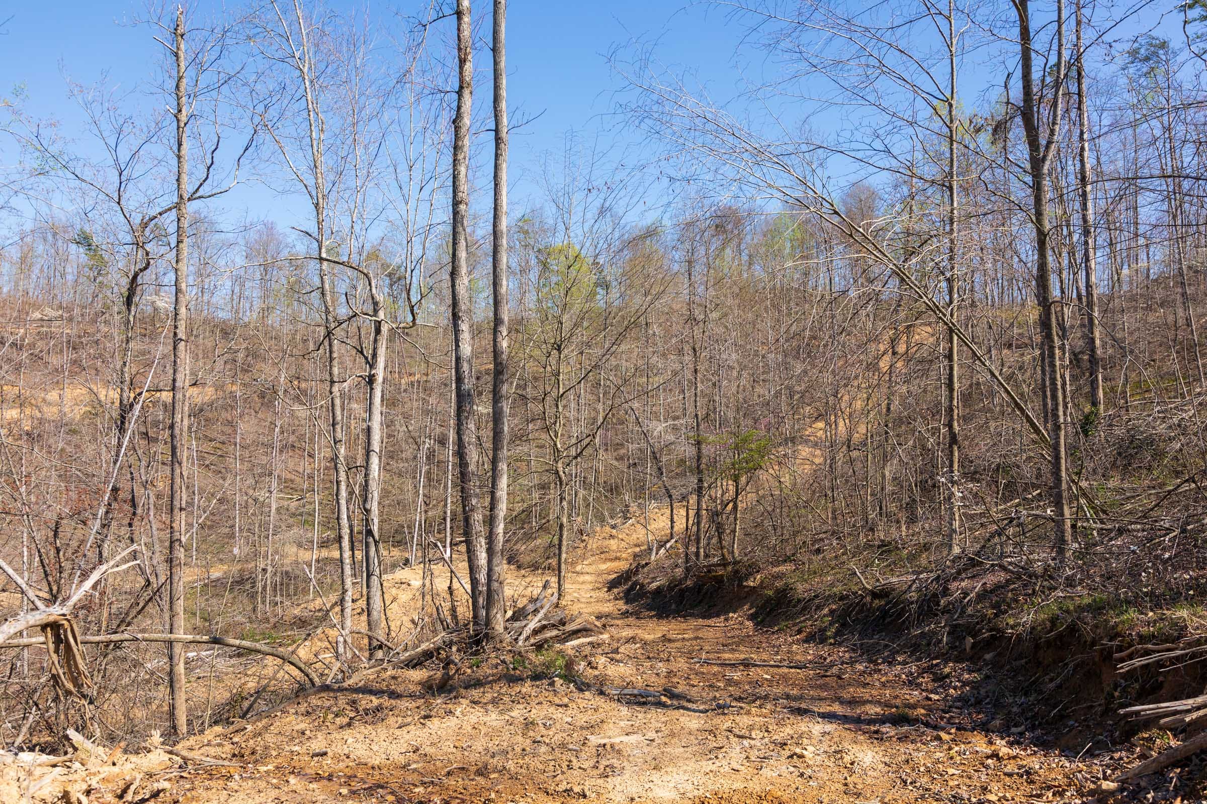 Creek Hollow Phase I Tract 53 photo 4