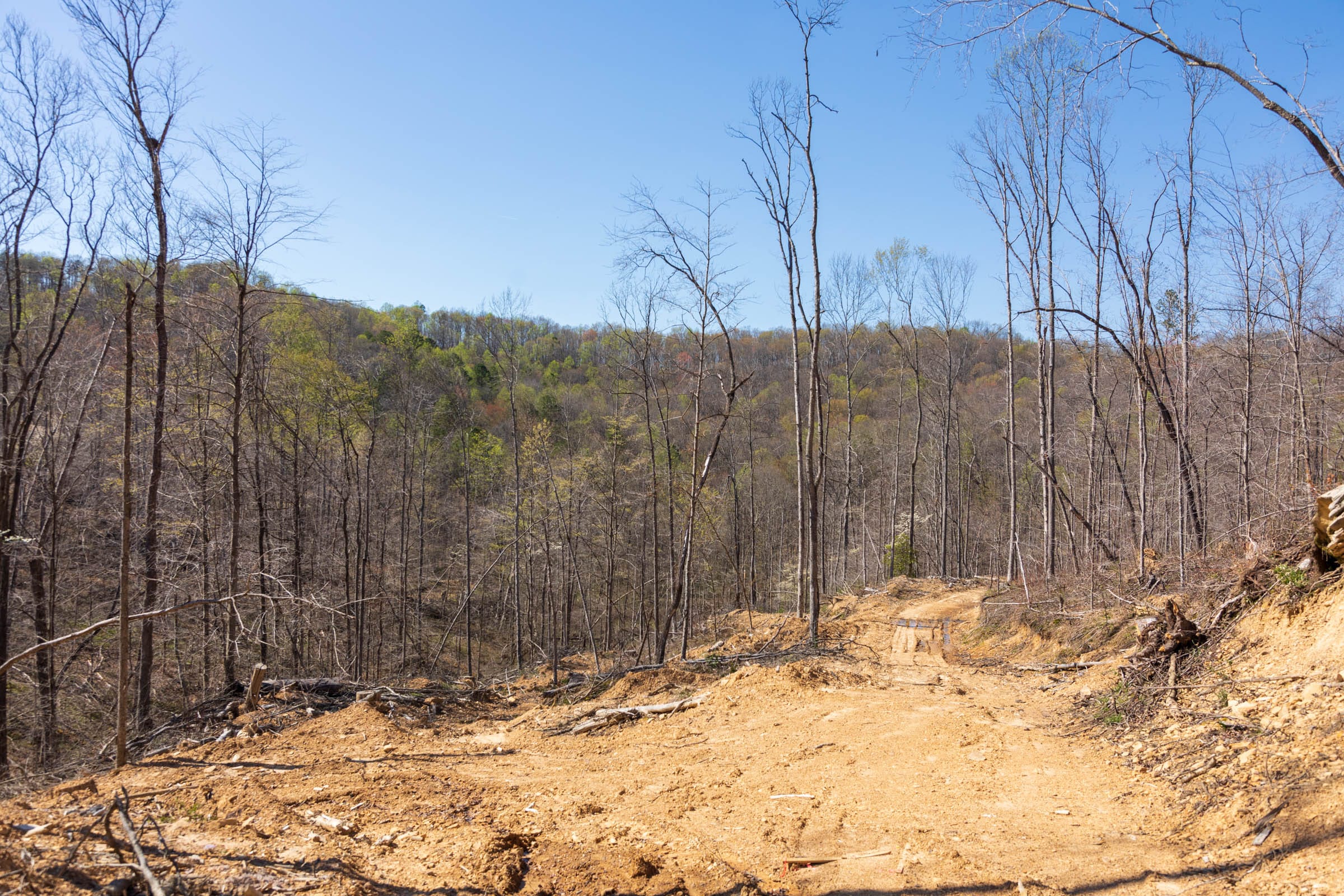 Creek Hollow Phase I Tract 53 photo 8