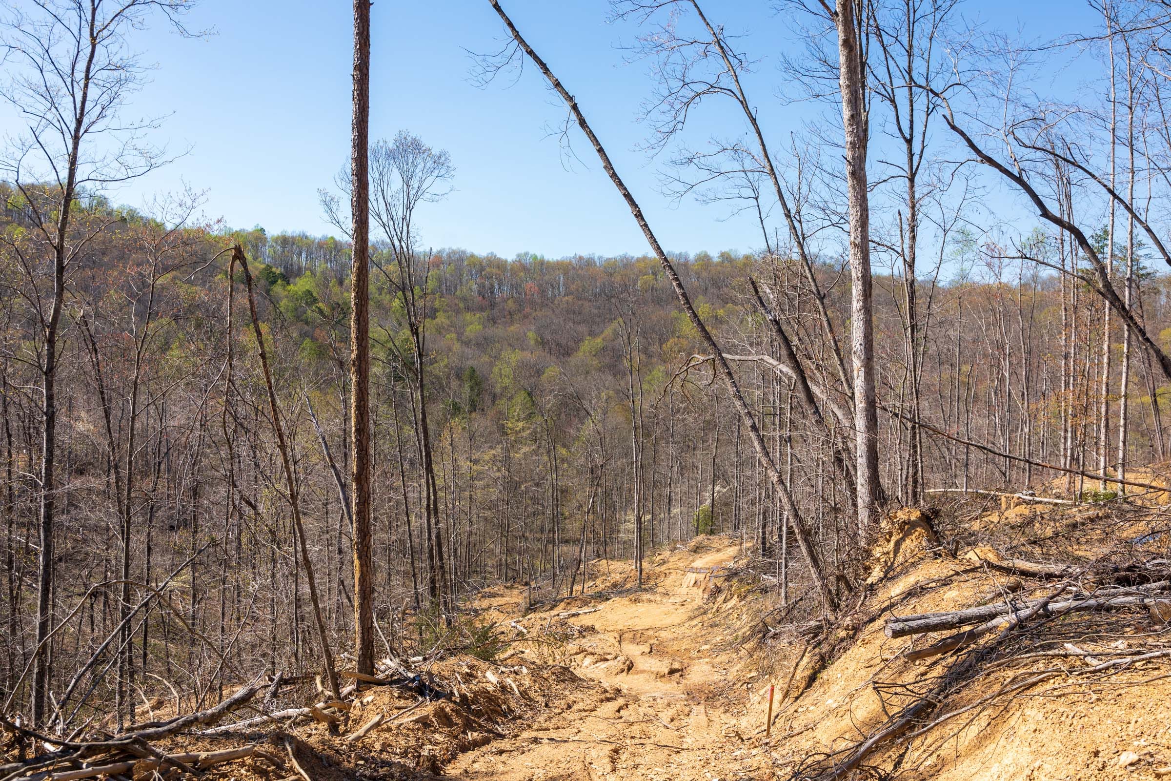 Creek Hollow Phase I Tract 53 photo 7