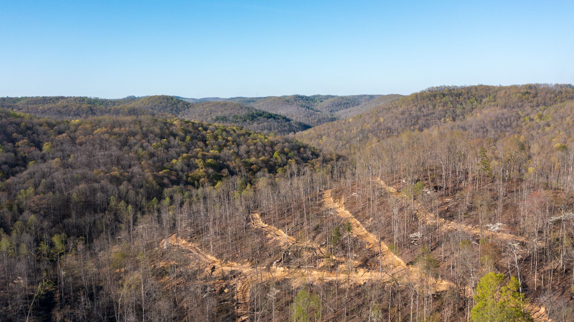 Creek Hollow Phase I Tract 53 photo 9