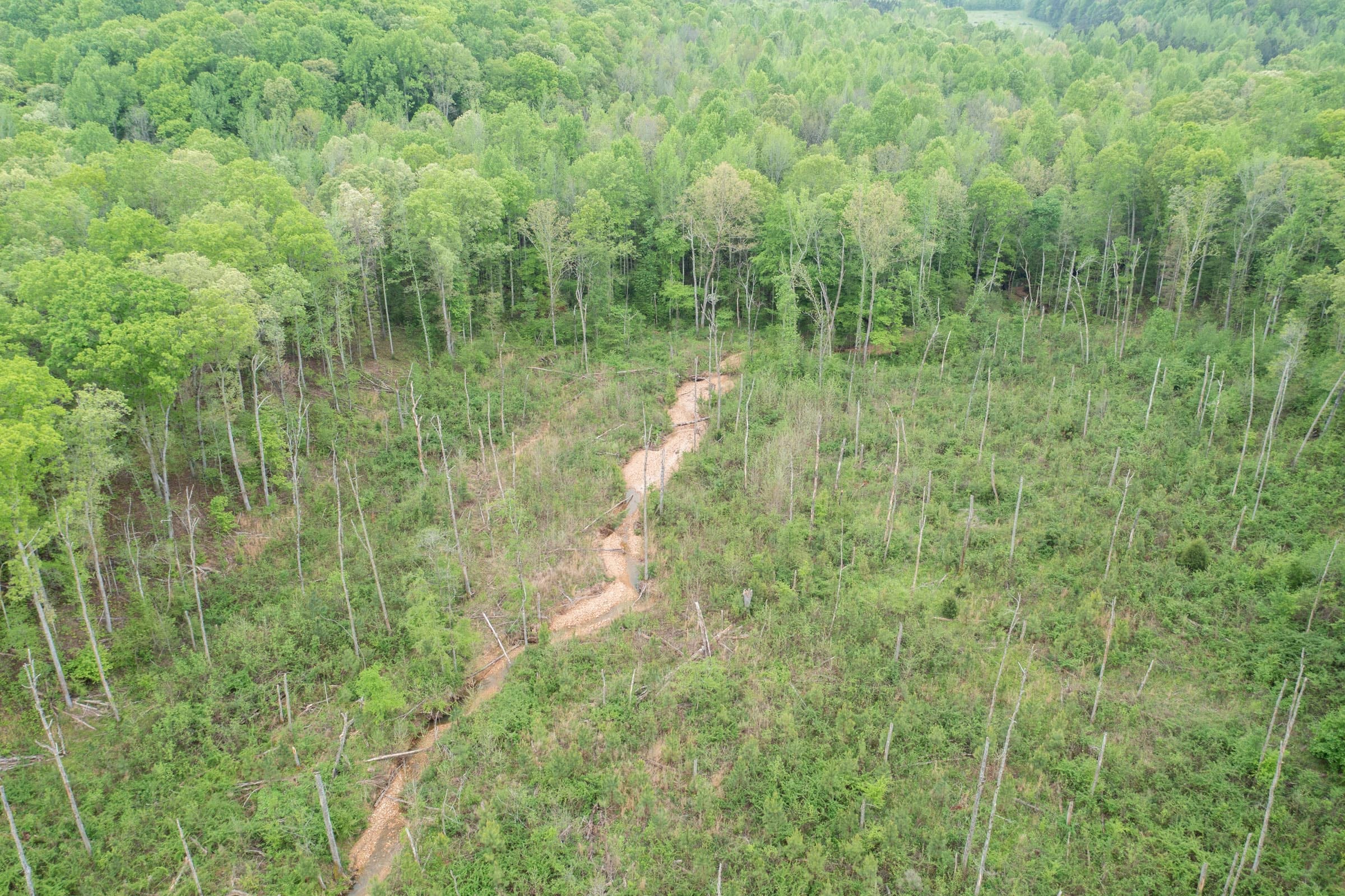 Red Barn Ranch Tract 42 photo 7