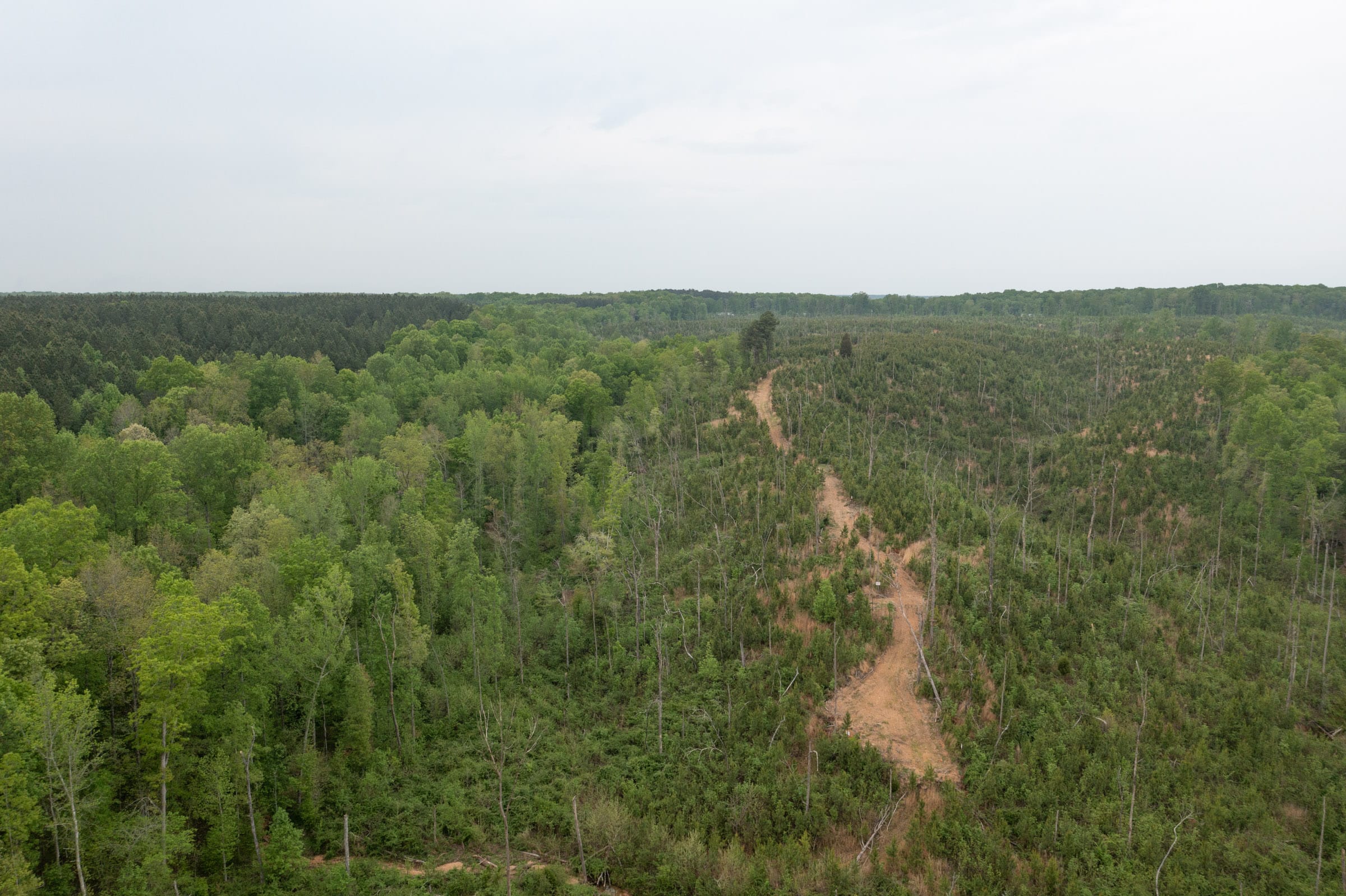 Red Barn Ranch Tract 42 photo 6
