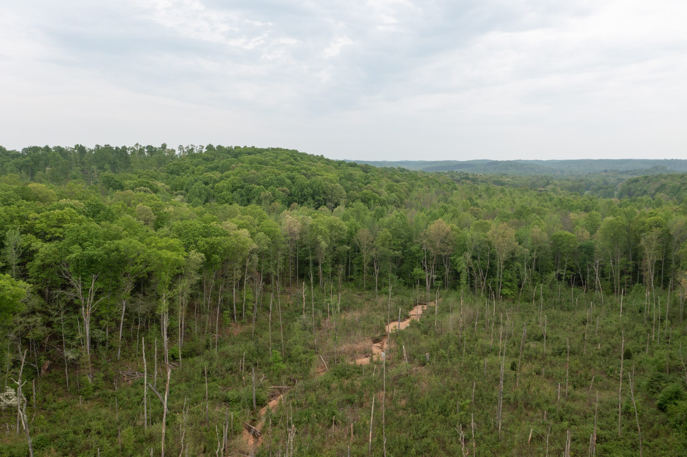 Red Barn Ranch Tract 42 photo 8