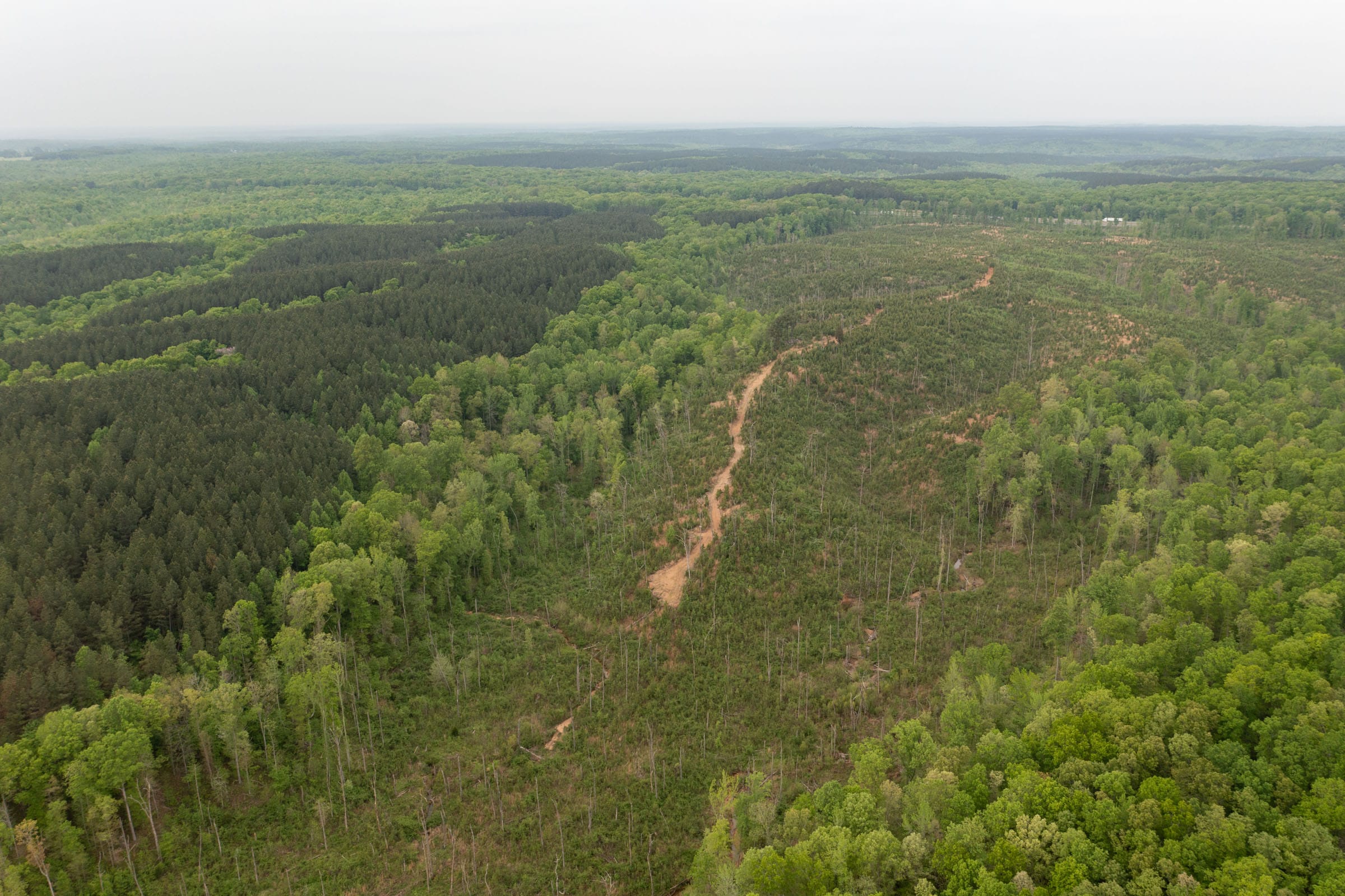 Red Barn Ranch Tract 42 photo 9