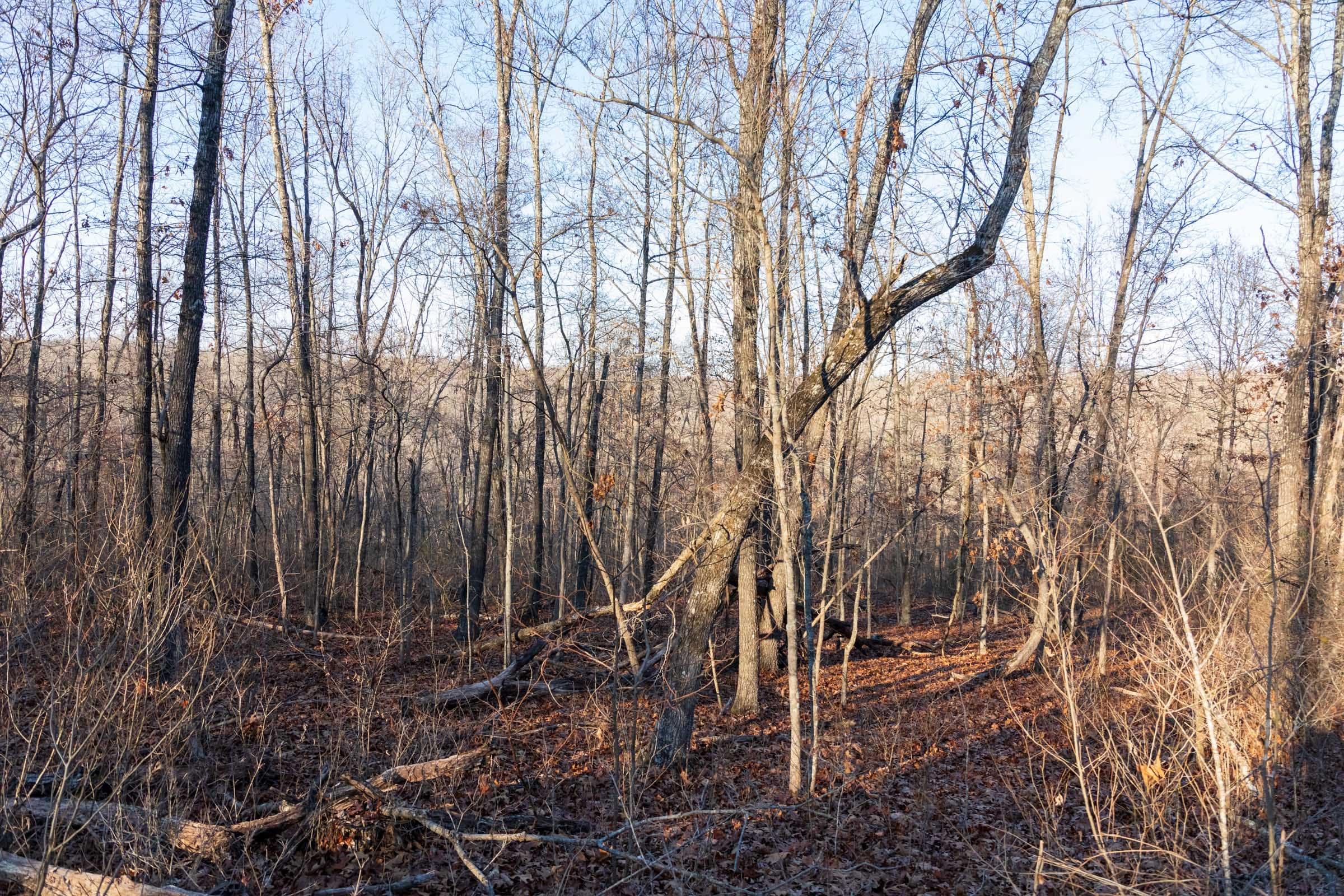 Crossroads Tract 25 photo 2