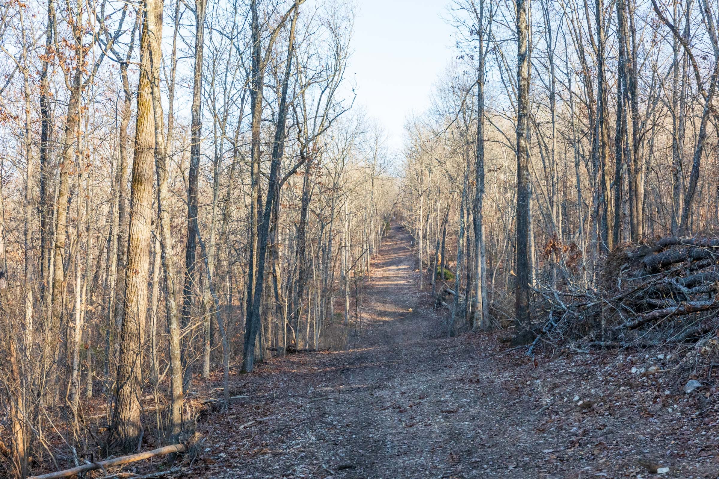 Crossroads Tract 25 photo 1