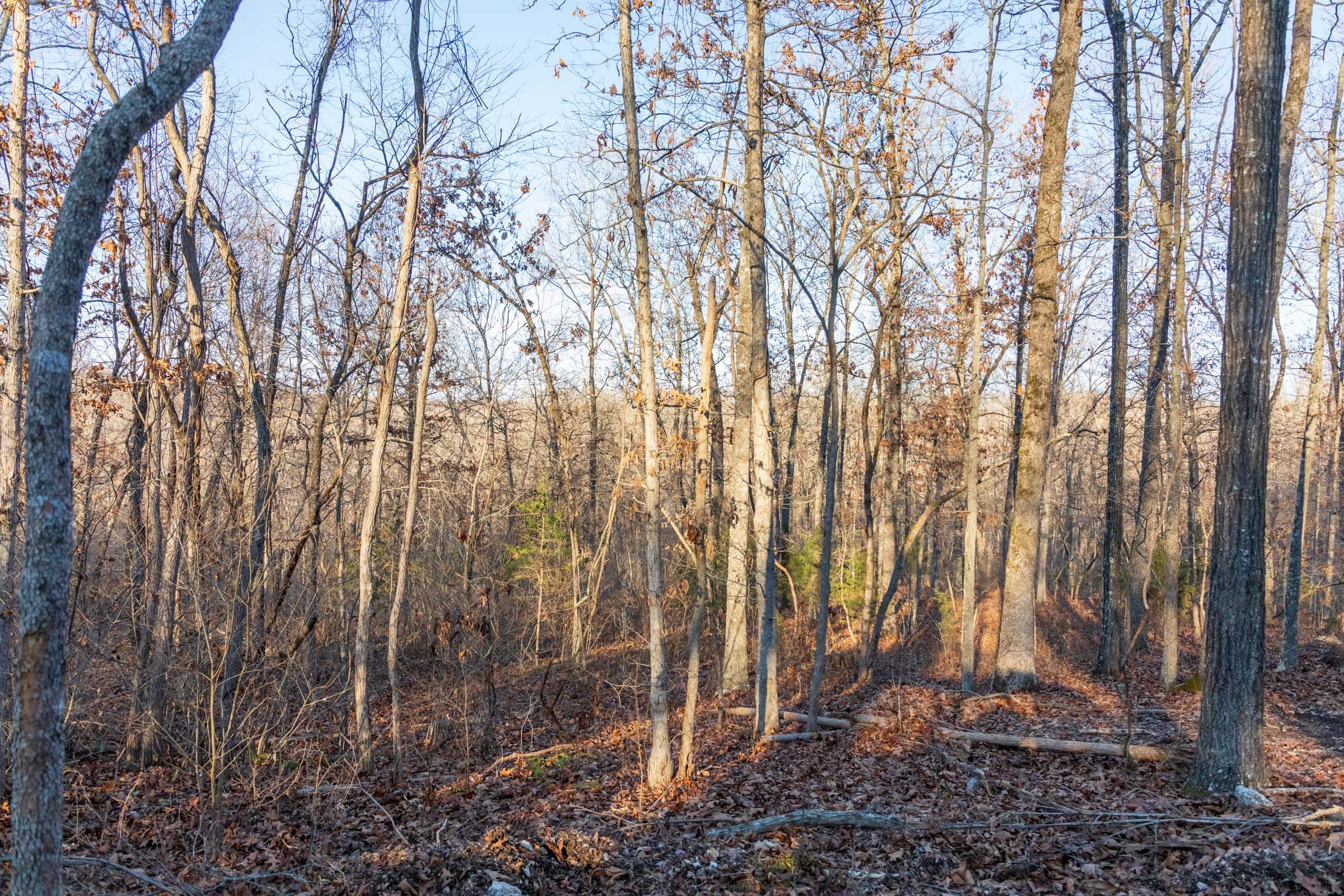 Crossroads Tract 25 photo 3