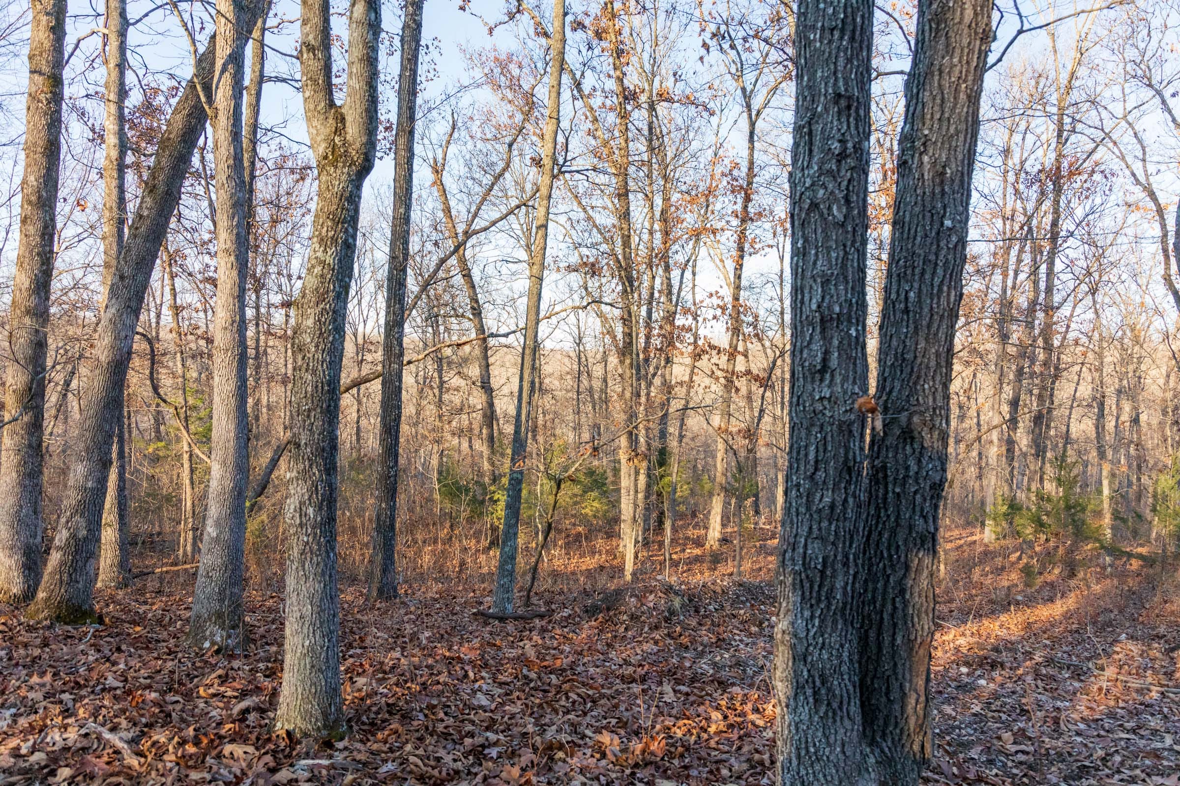 Crossroads Tract 25 photo 4