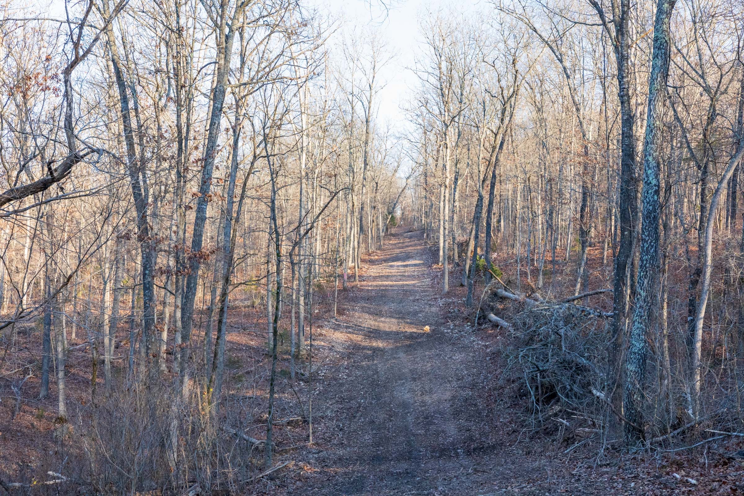 Crossroads Tract 25 photo 5
