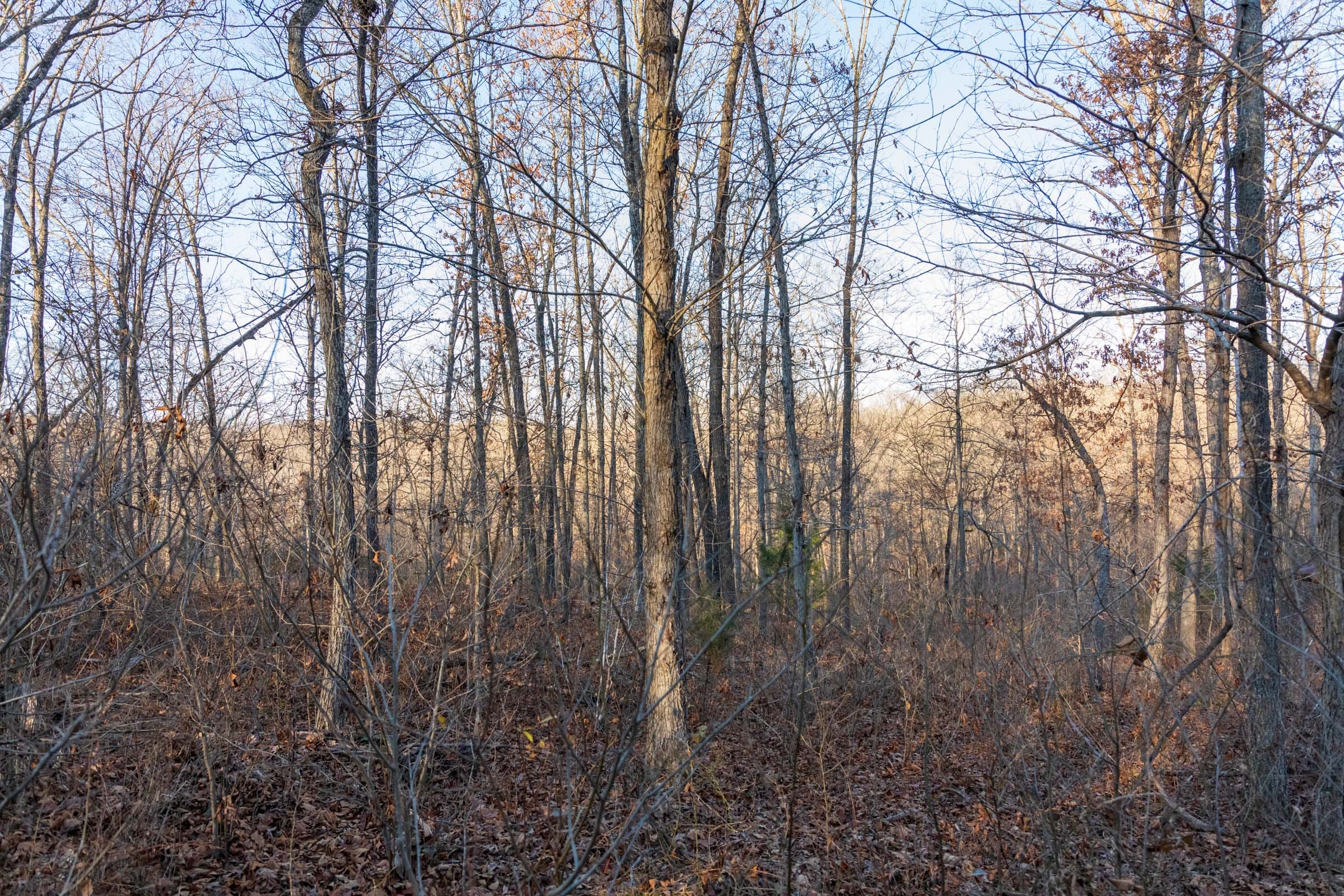 Crossroads Tract 25 photo 6