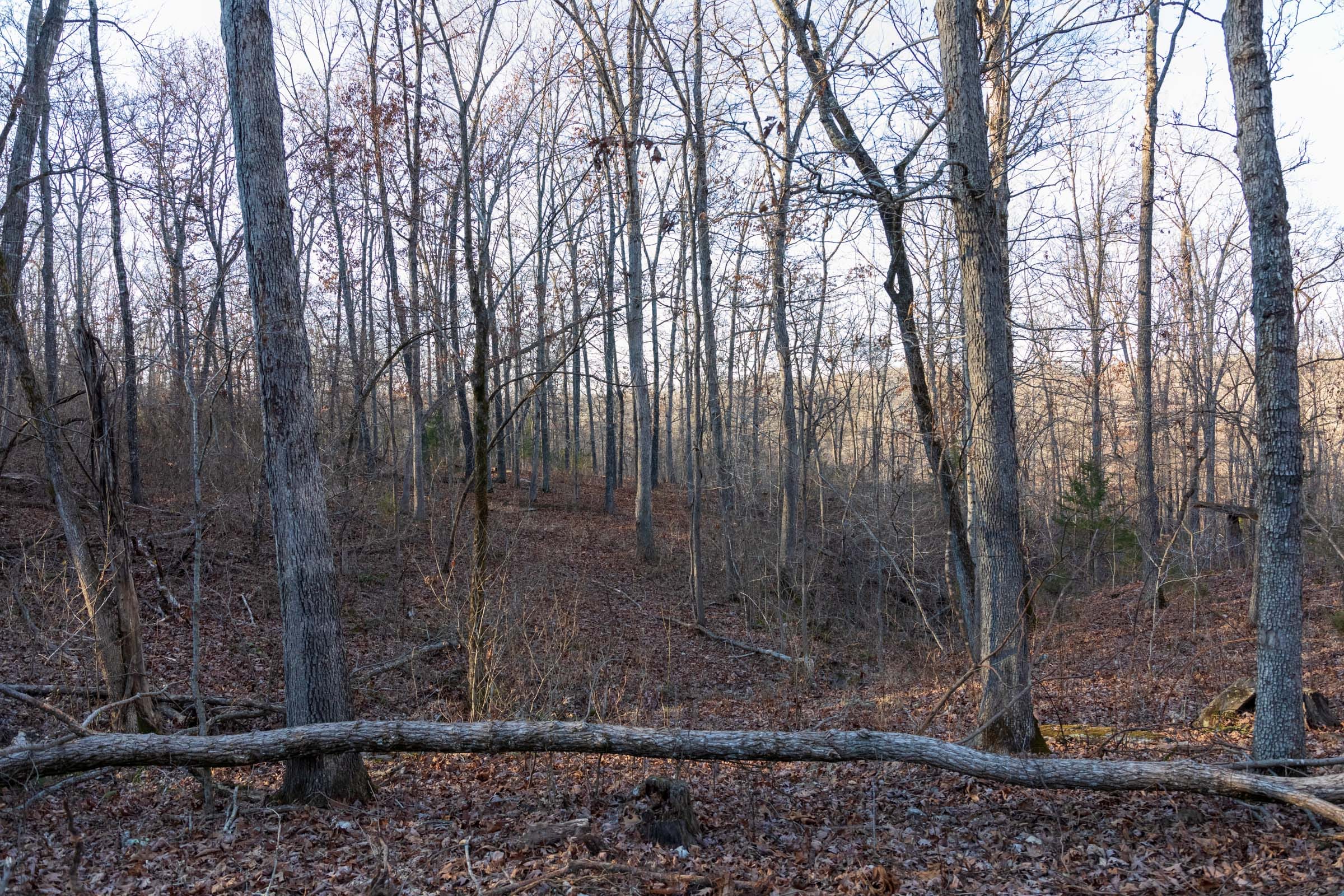 Crossroads Tract 25 photo 7