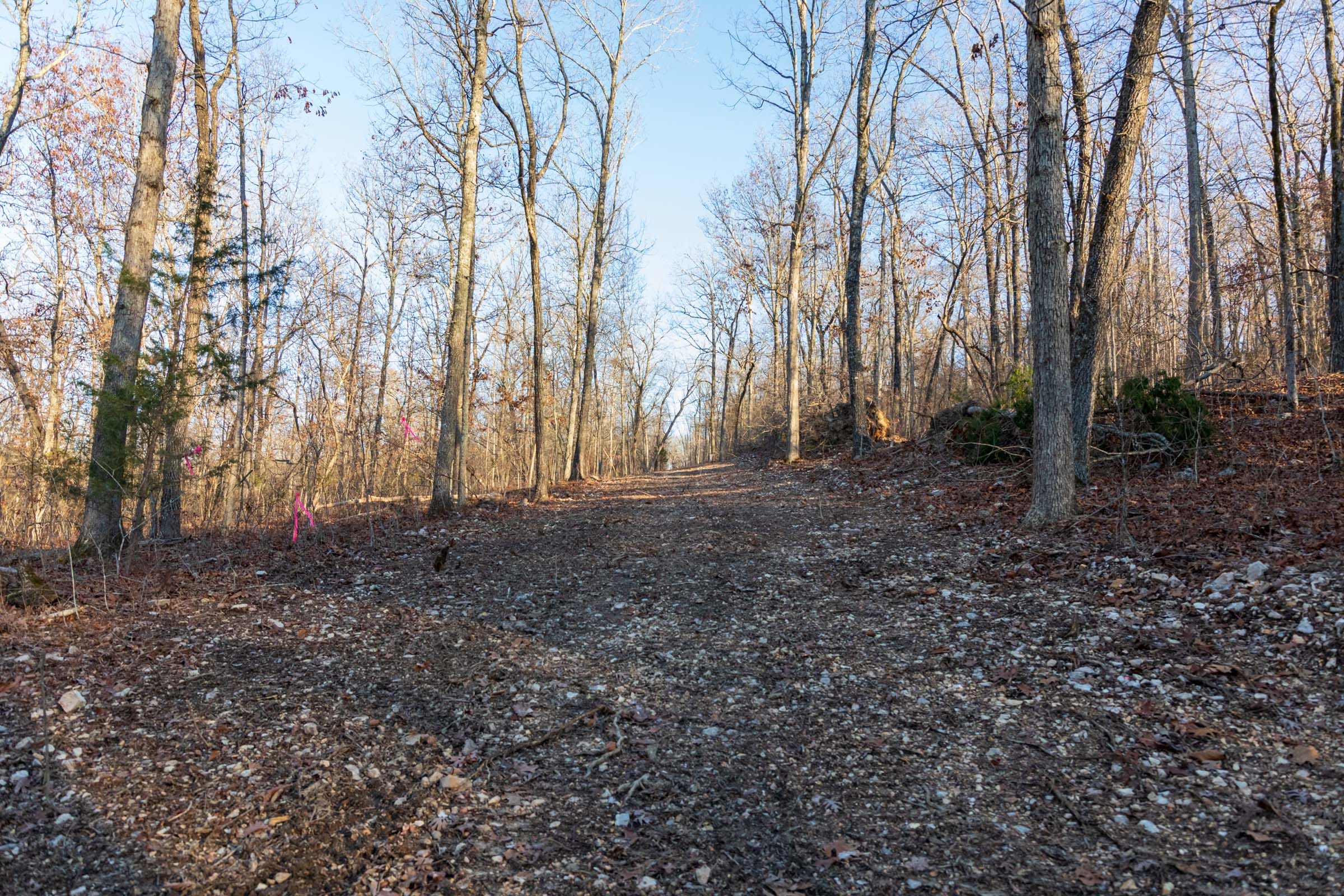Crossroads Tract 25 photo 9