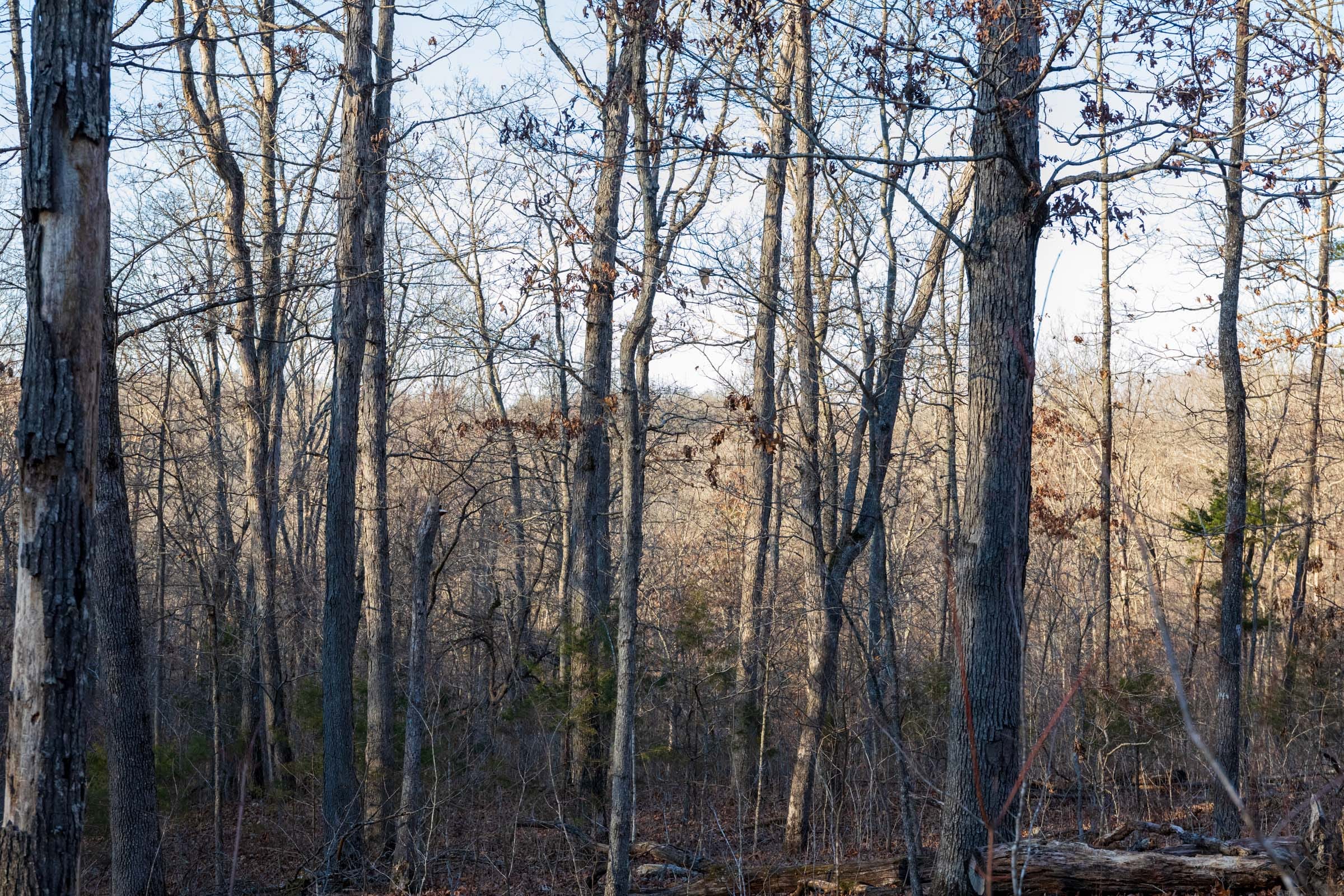 Crossroads Tract 25 photo 10