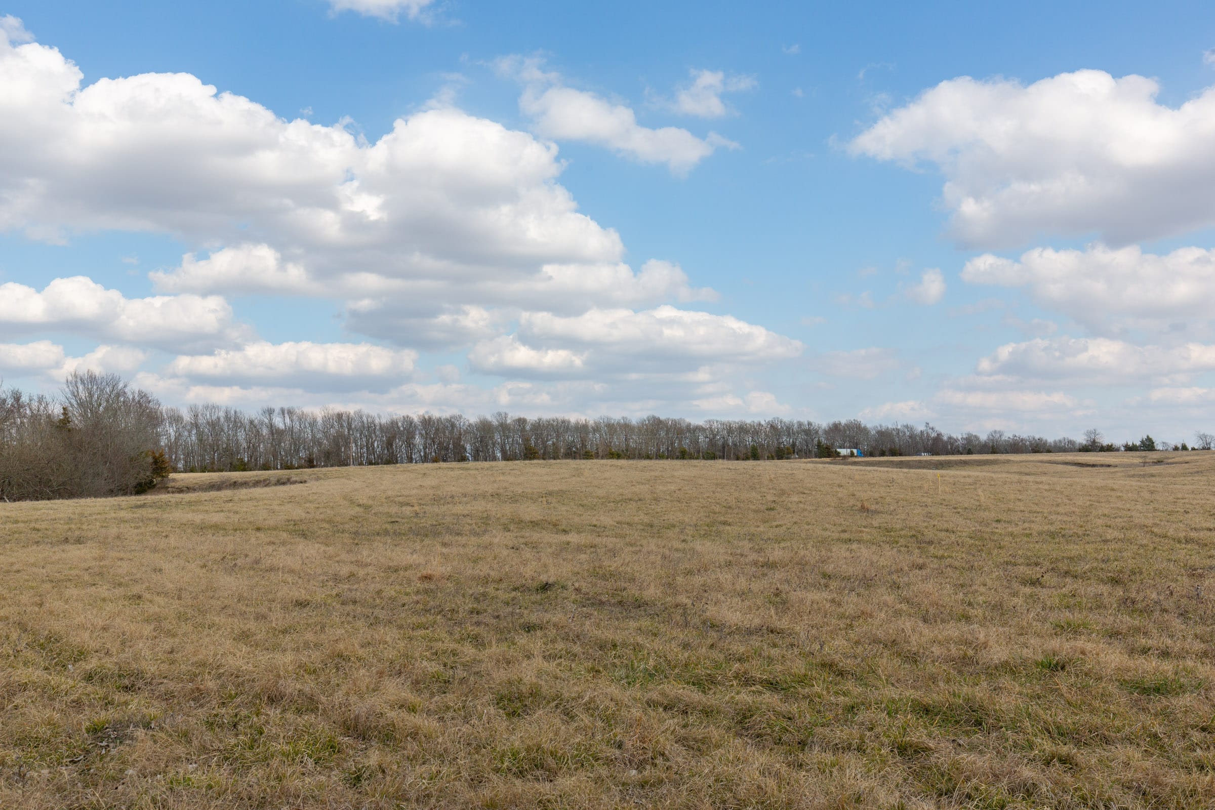 Wishing Star Ranch Tract 39 photo 3