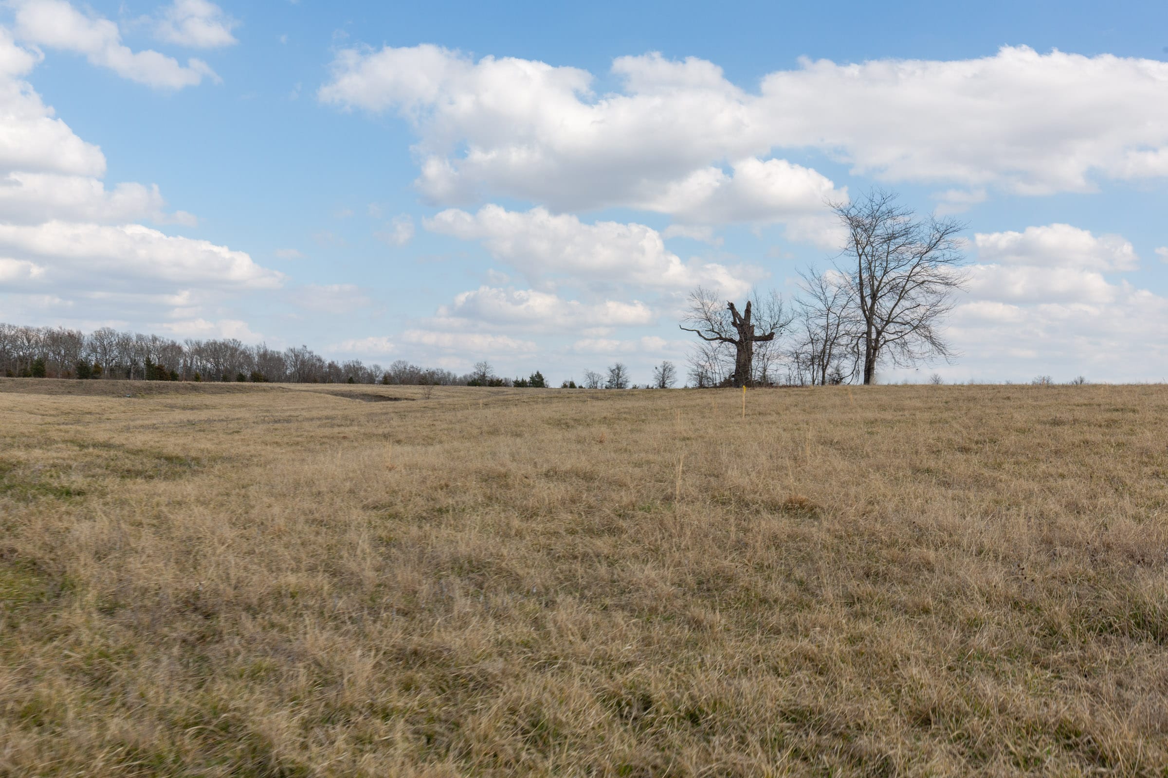 Wishing Star Ranch Tract 39 photo 4