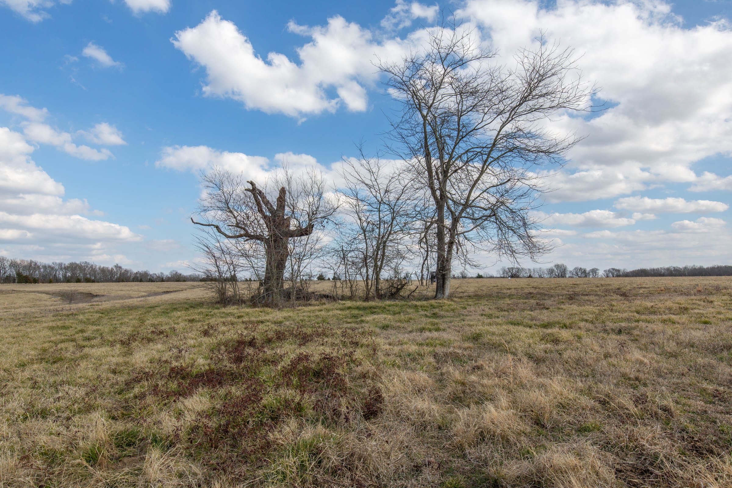 Wishing Star Ranch Tract 39 photo 5