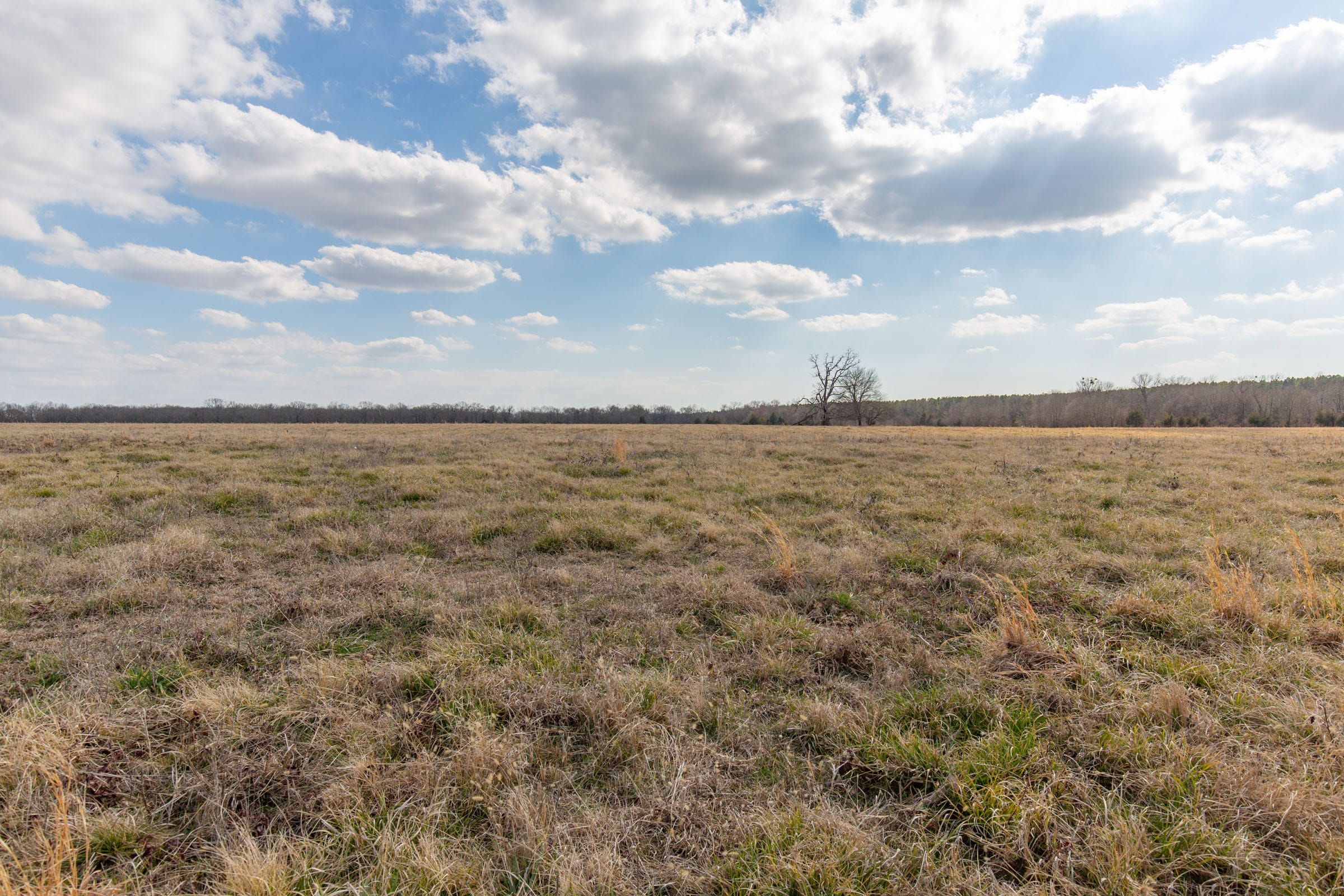 Wishing Star Ranch Tract 39 photo 6