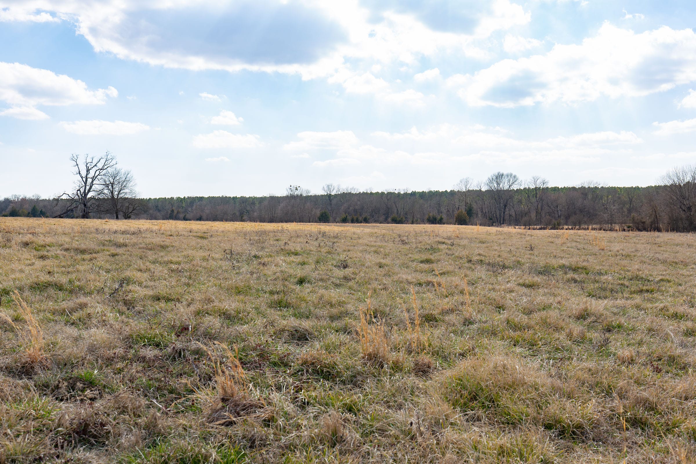 Wishing Star Ranch Tract 39 photo 7