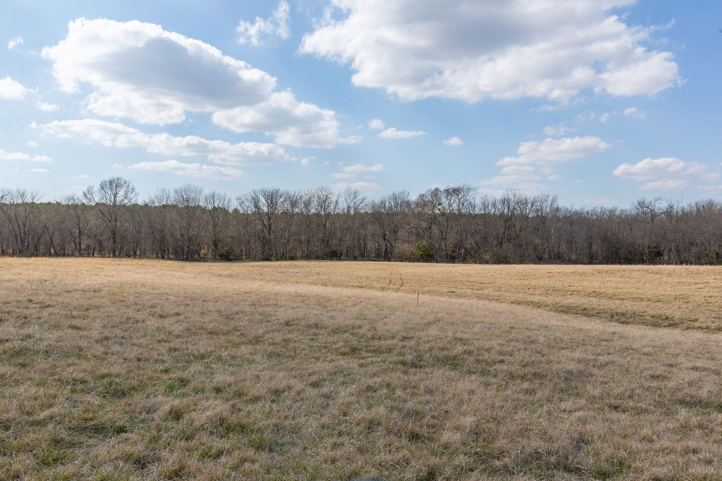 Wishing Star Ranch Tract 39 photo 8