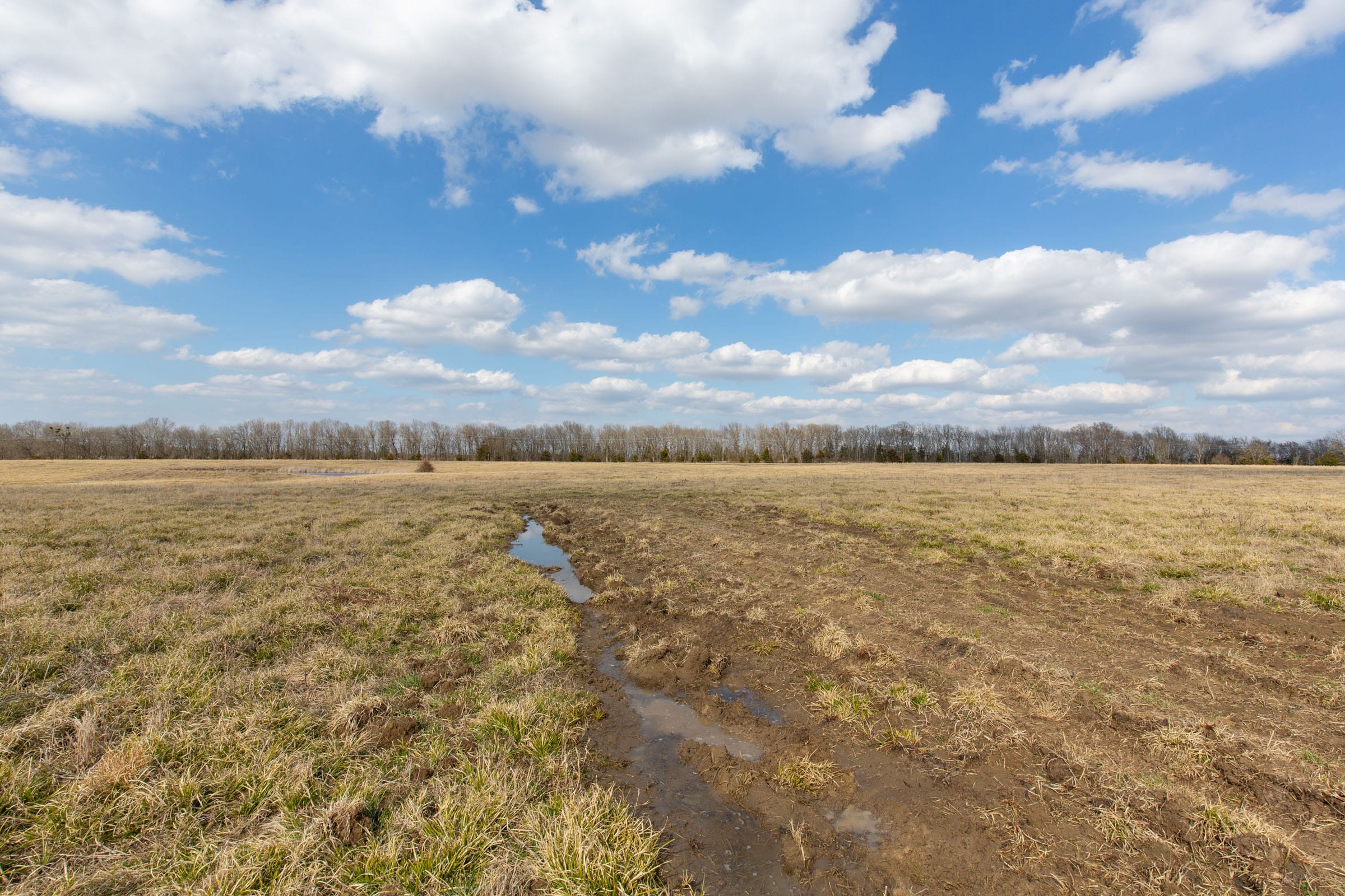Wishing Star Ranch Tract 39 photo 1